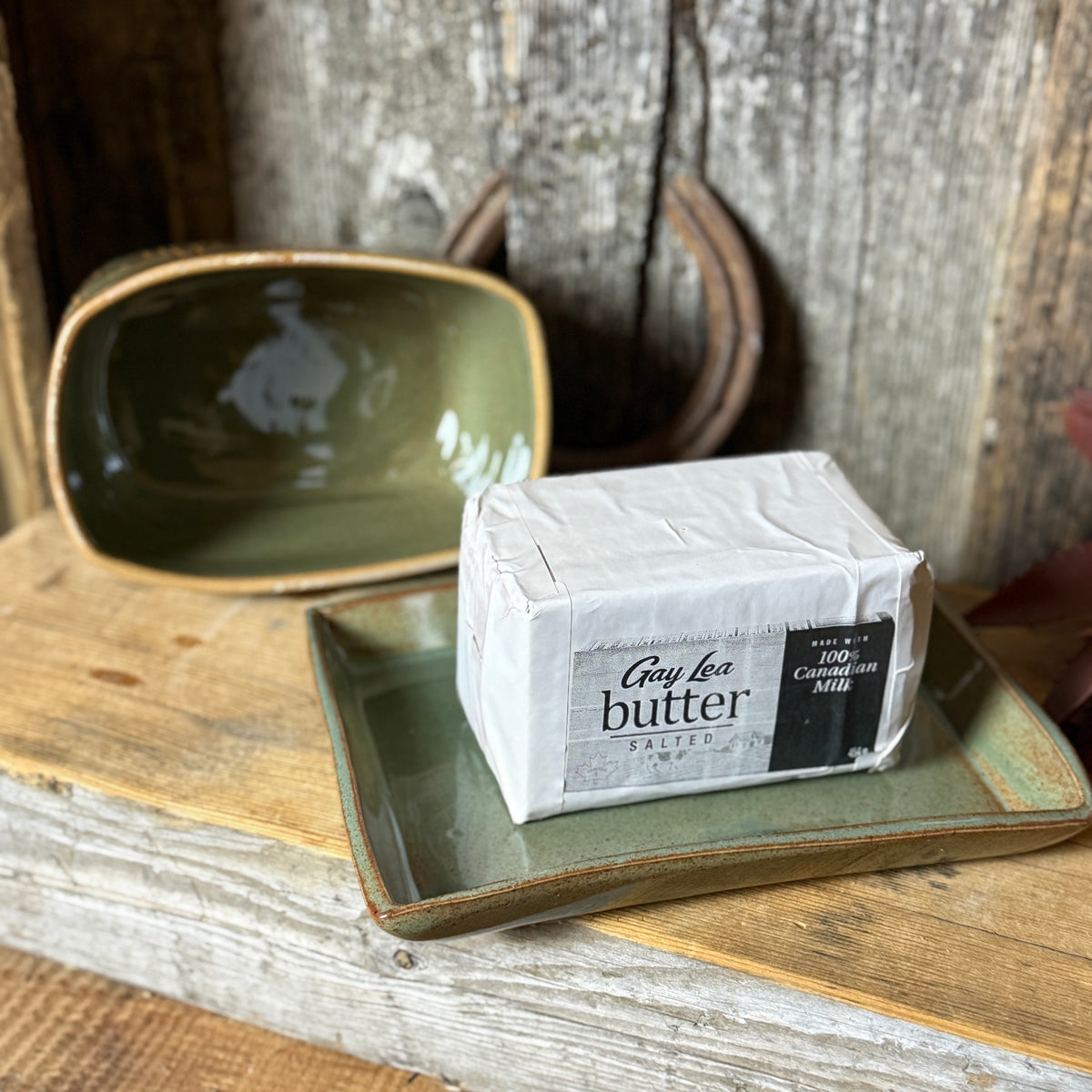 Butter Dish Sagebush Cactus
