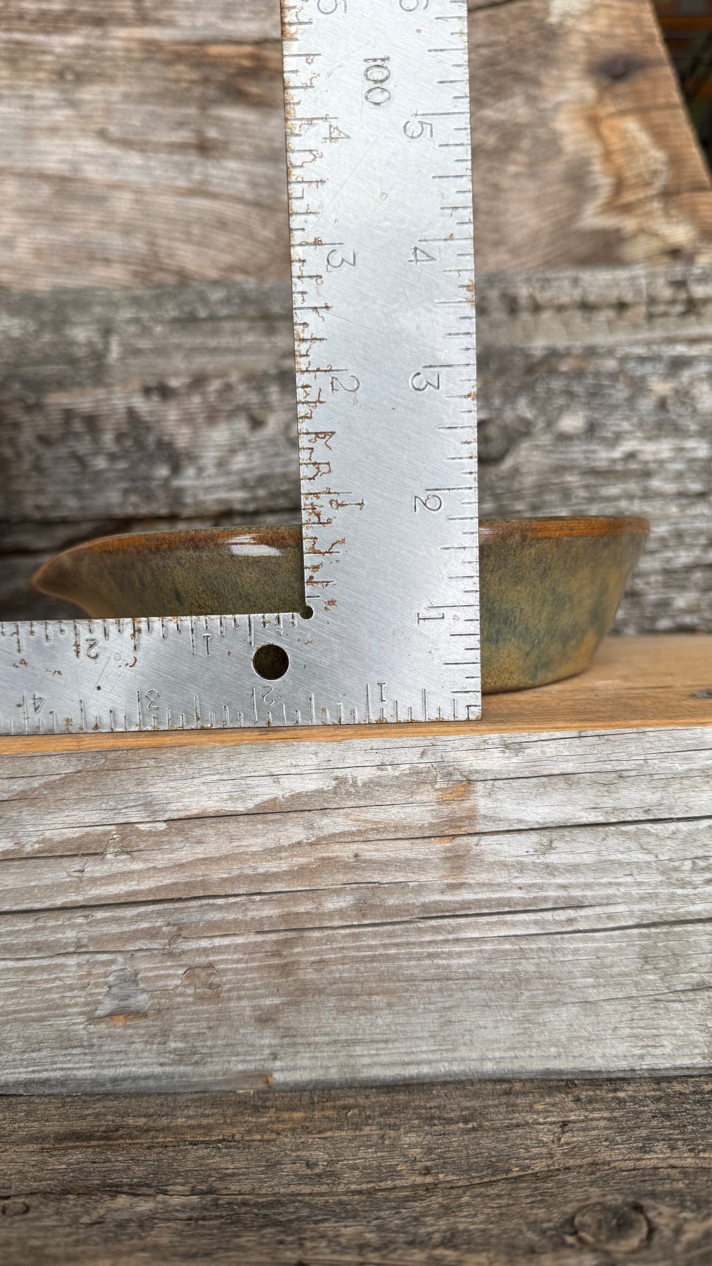 7” Prickly Pear Cactus Garlic Keeper and Grate Plate