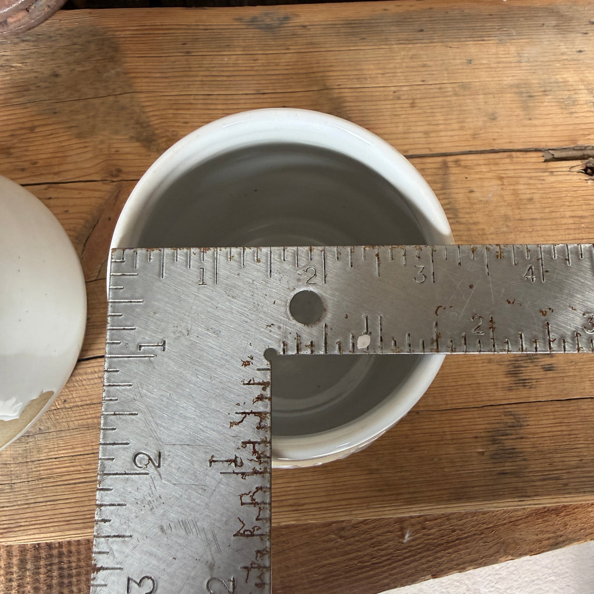Tumbler Cup Set of 2 - Cattle