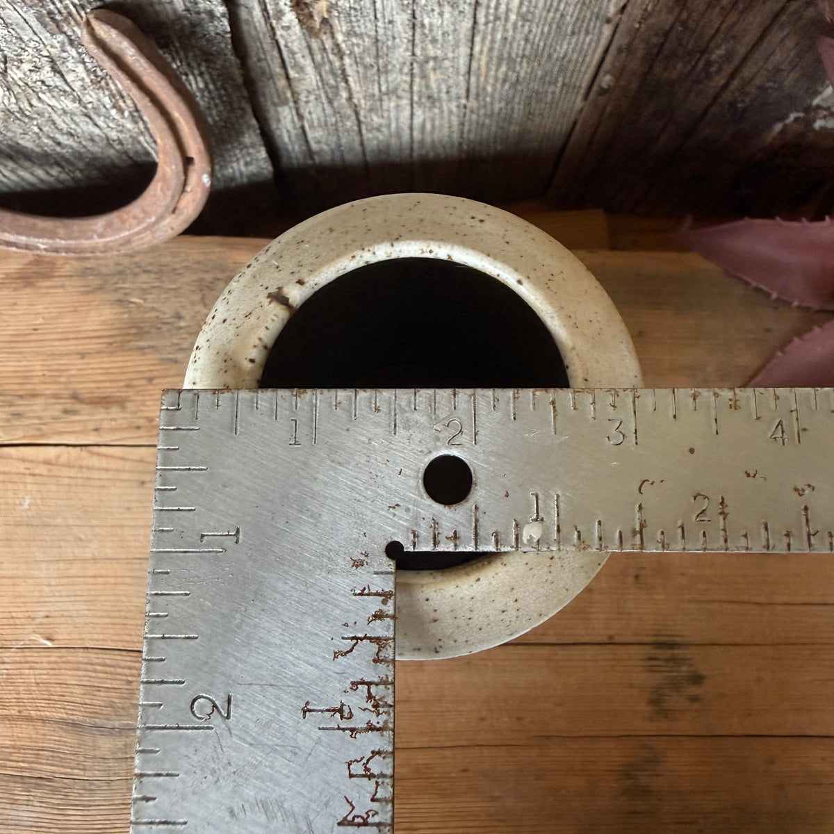 Vase Speckle Park Cactus