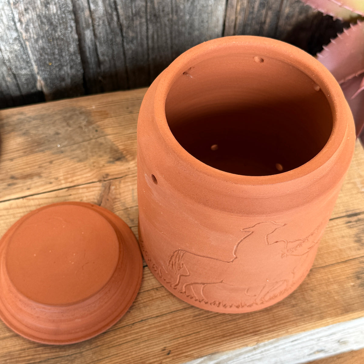 Garlic/ onion keeper Rancher