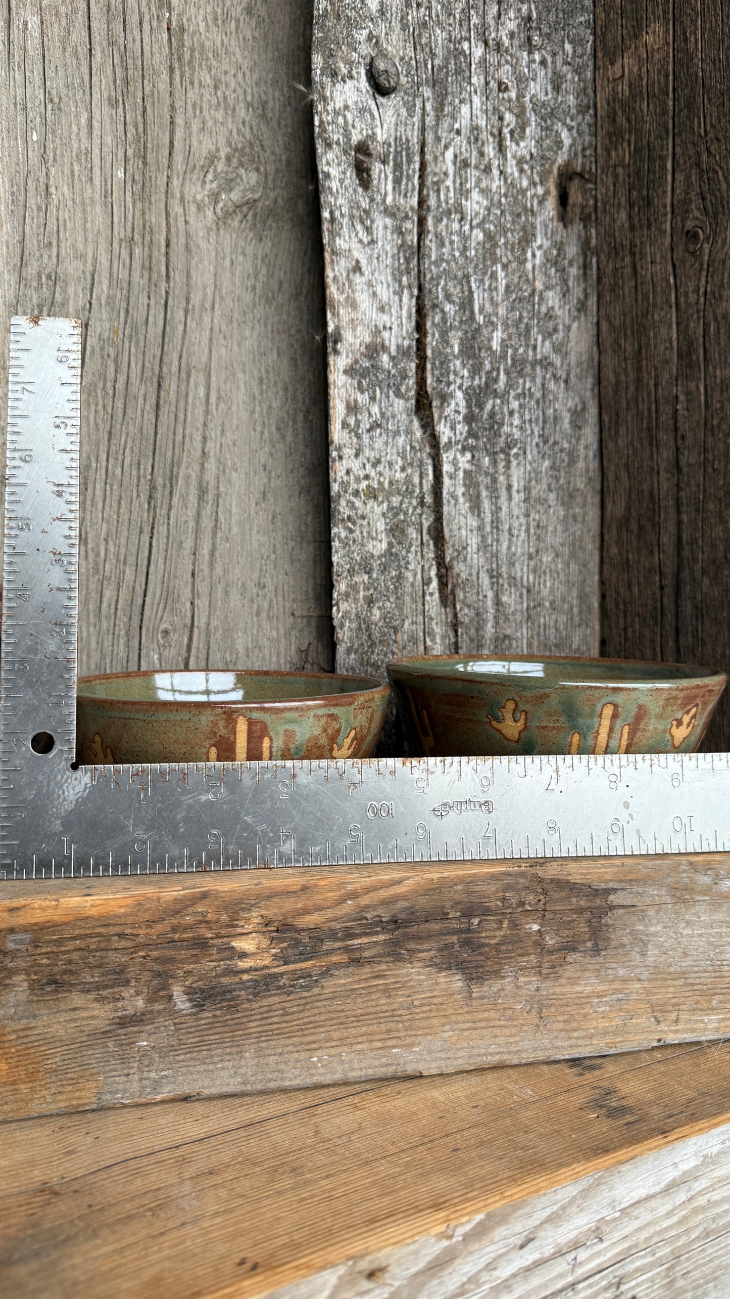 Small bowl set of 2 Cactus