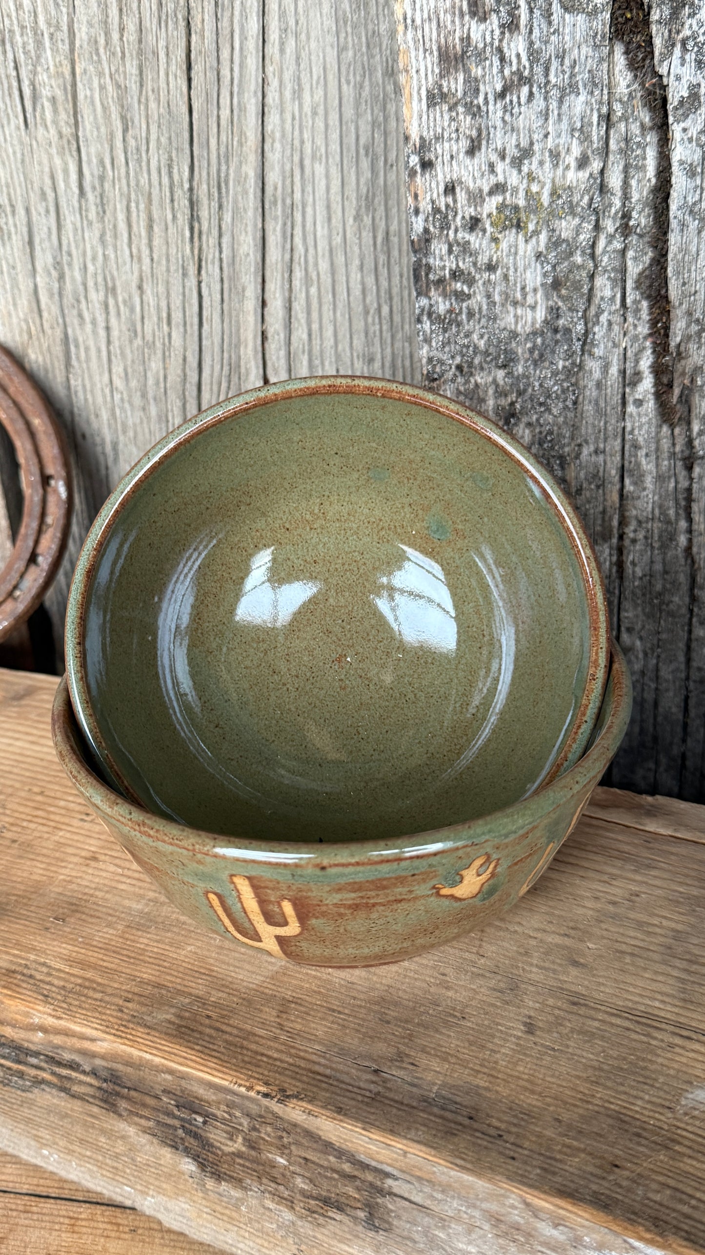 Small bowl set of 2 Cactus