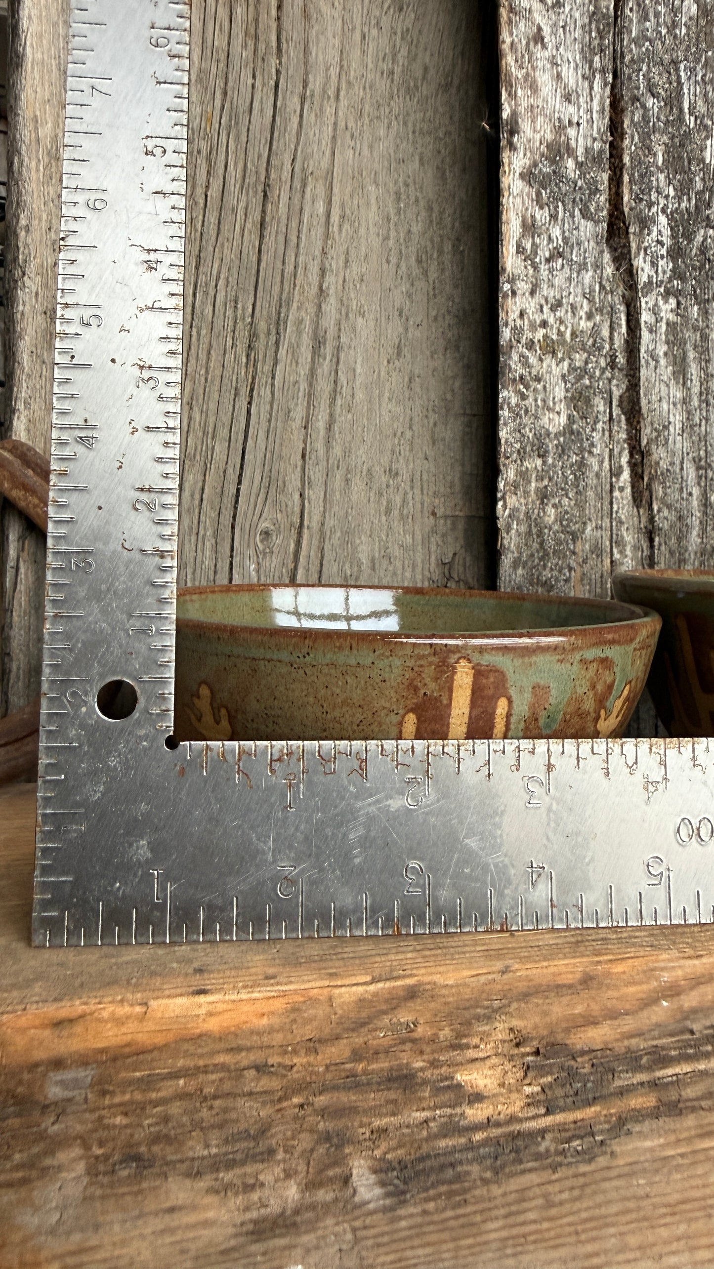 Small bowl set of 2 Cactus