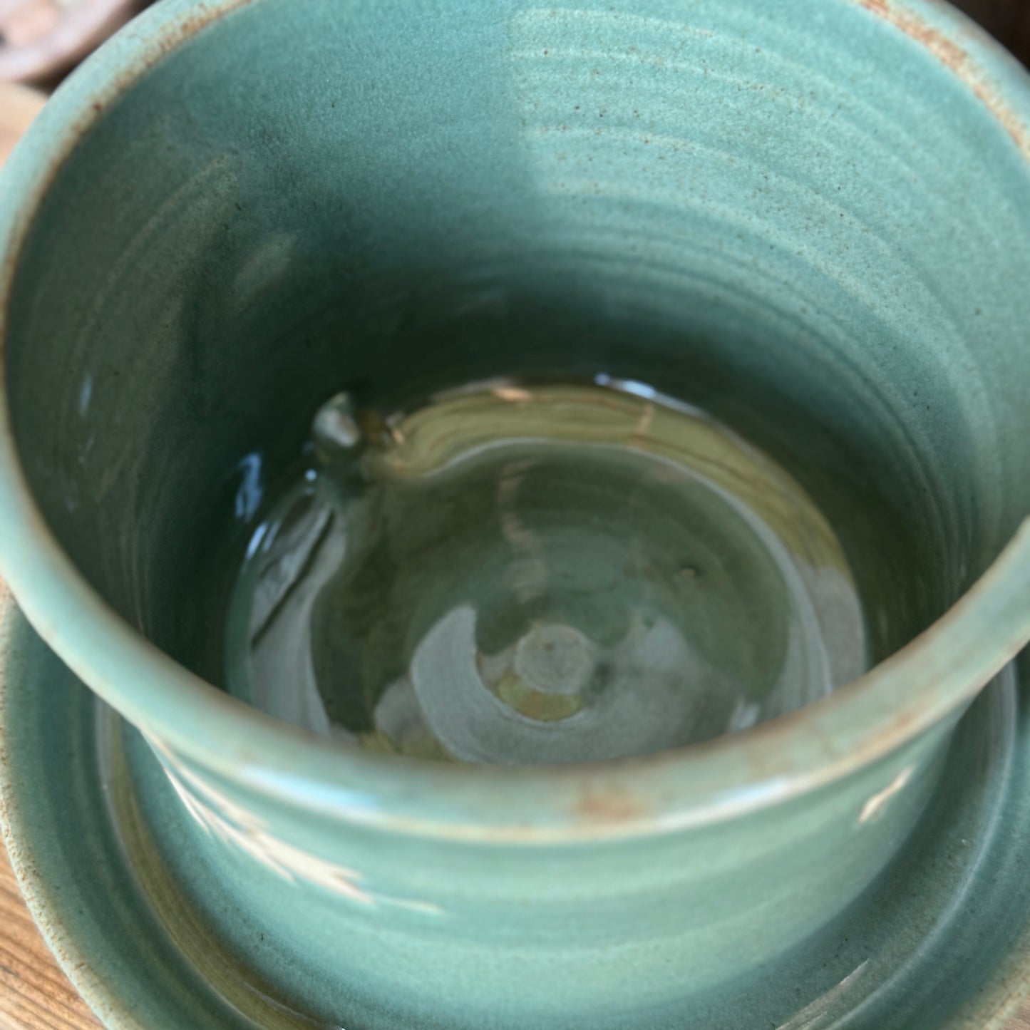 Planter southwestern Sagebrush