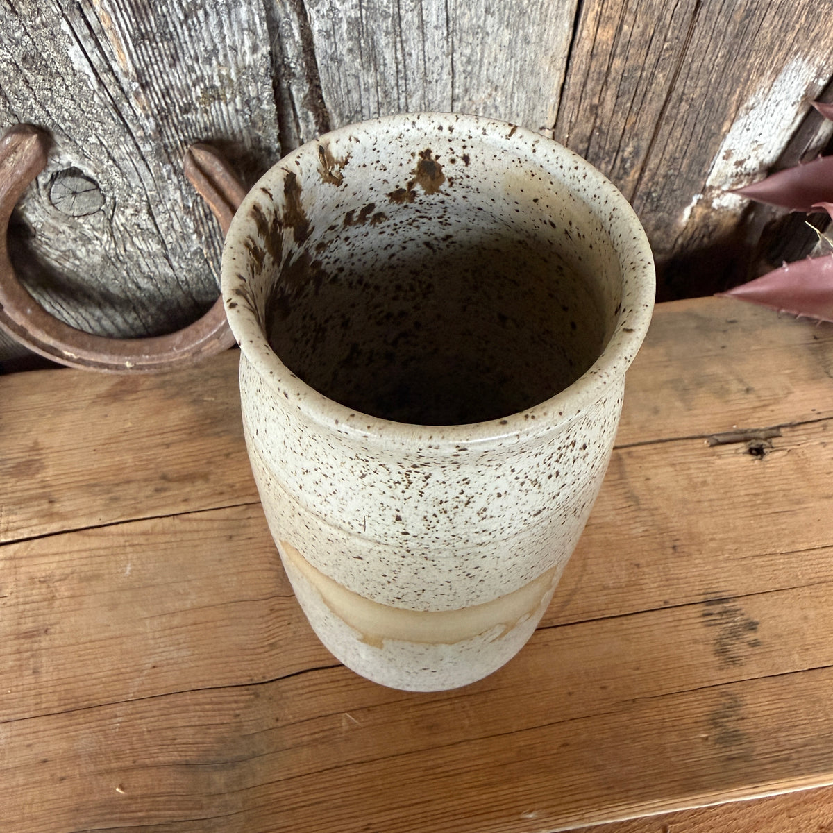 Vase 8” Speckle Park Bull