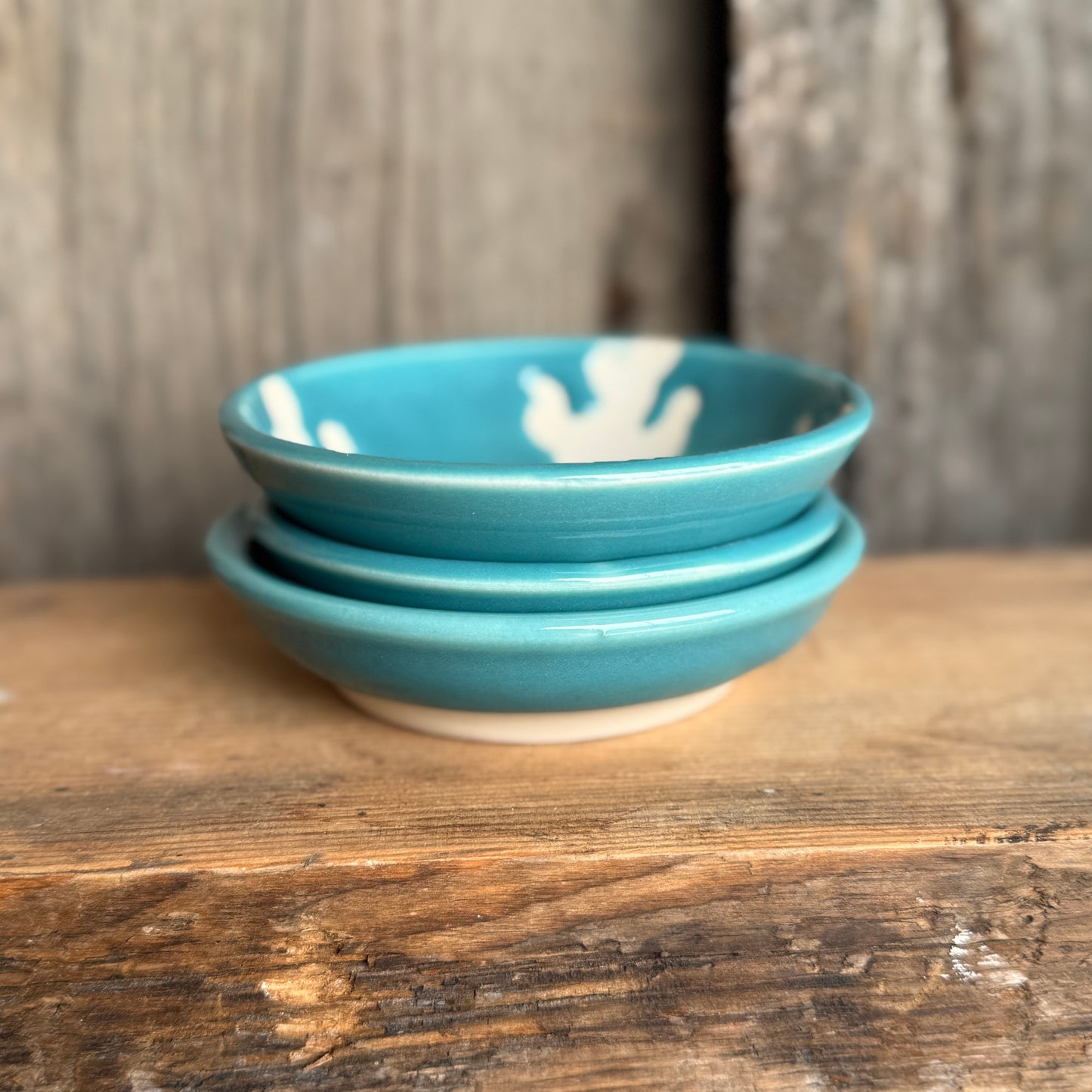 Sauce bowl set of 3 turquoise cactus