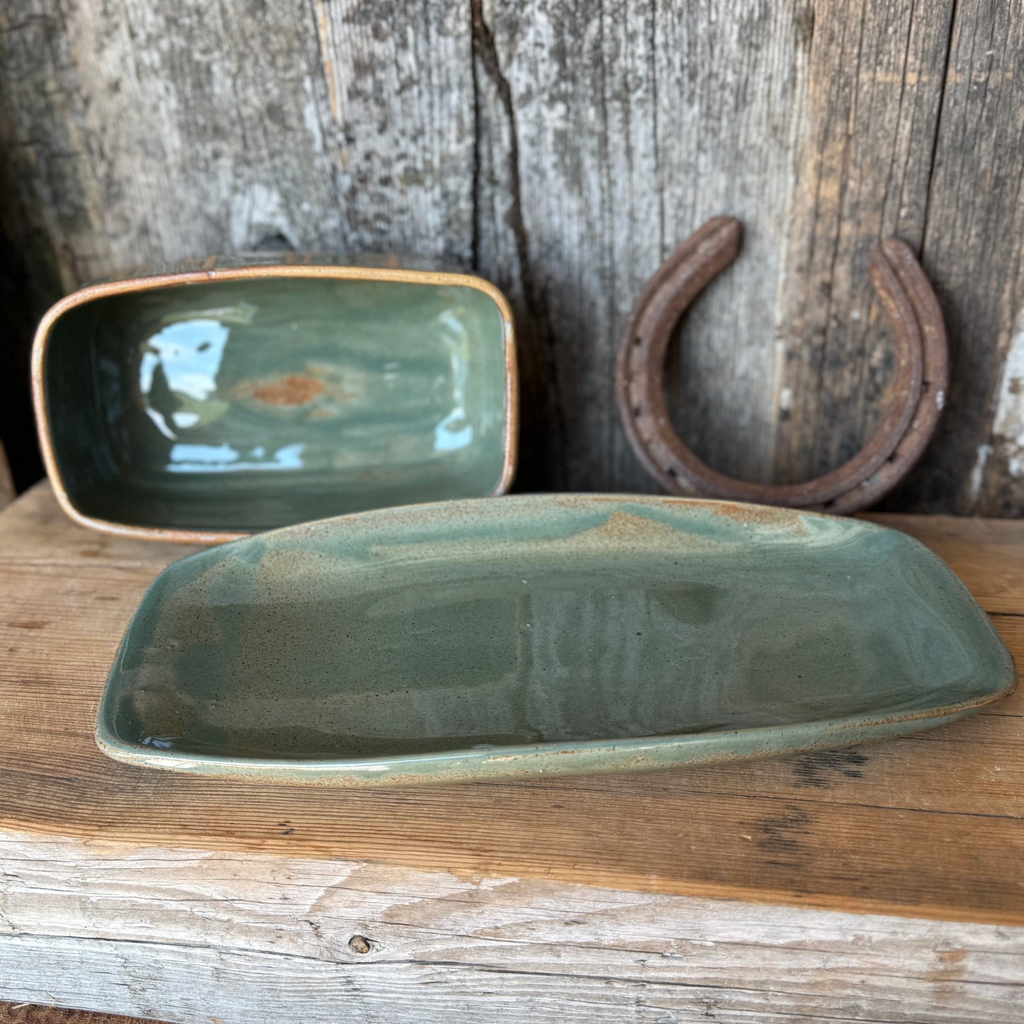 Butter Dish Sagebrush Cactus