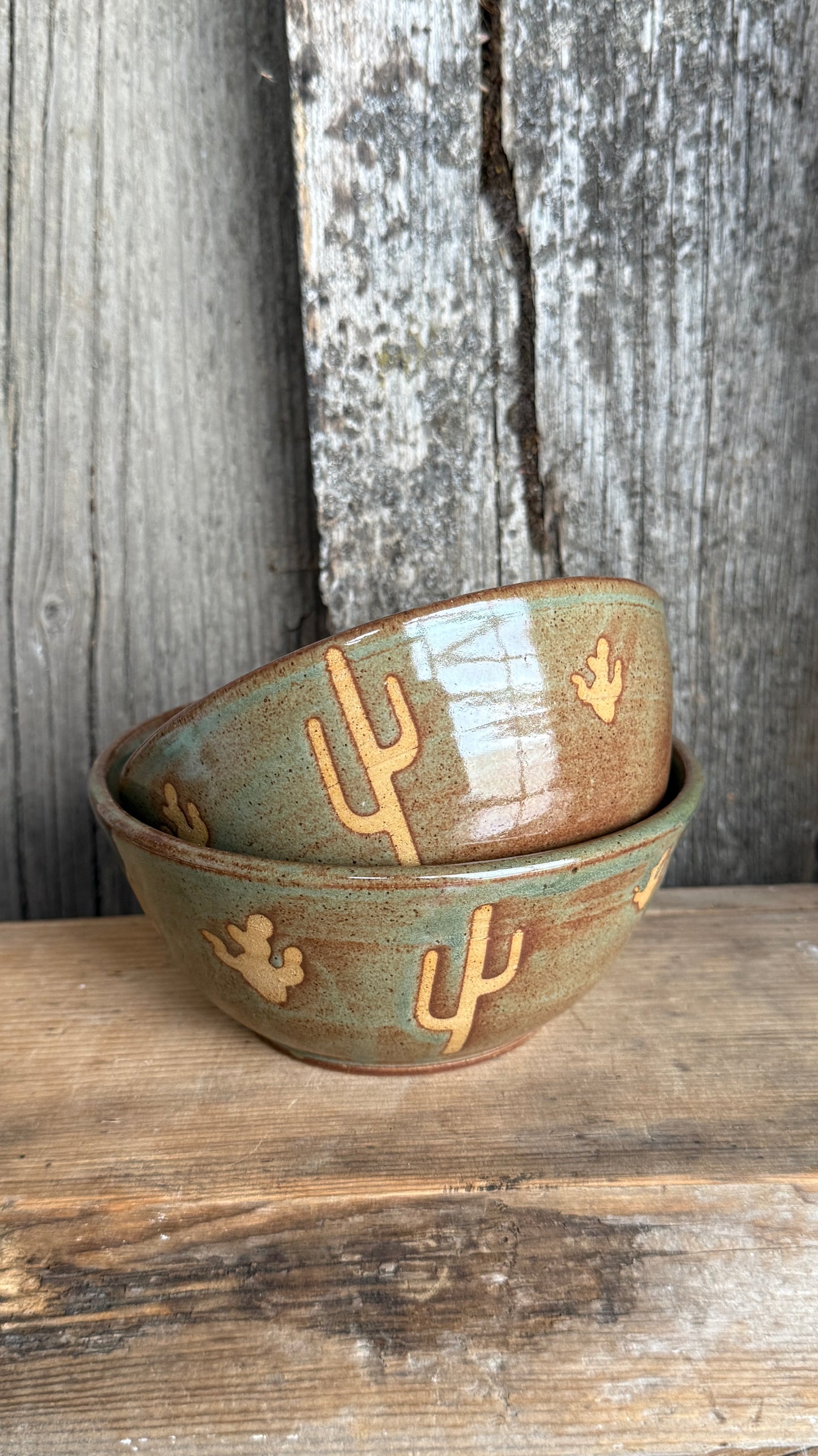 Small bowl set of 2 Cactus