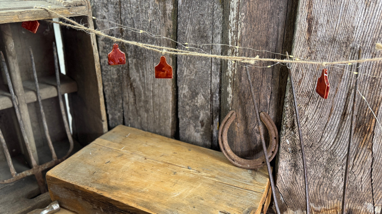 Cowboy Christmas ornament bundle