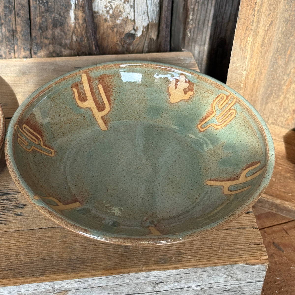 Girl Dinner - Plate/ Bowl set of 3 Cactus
