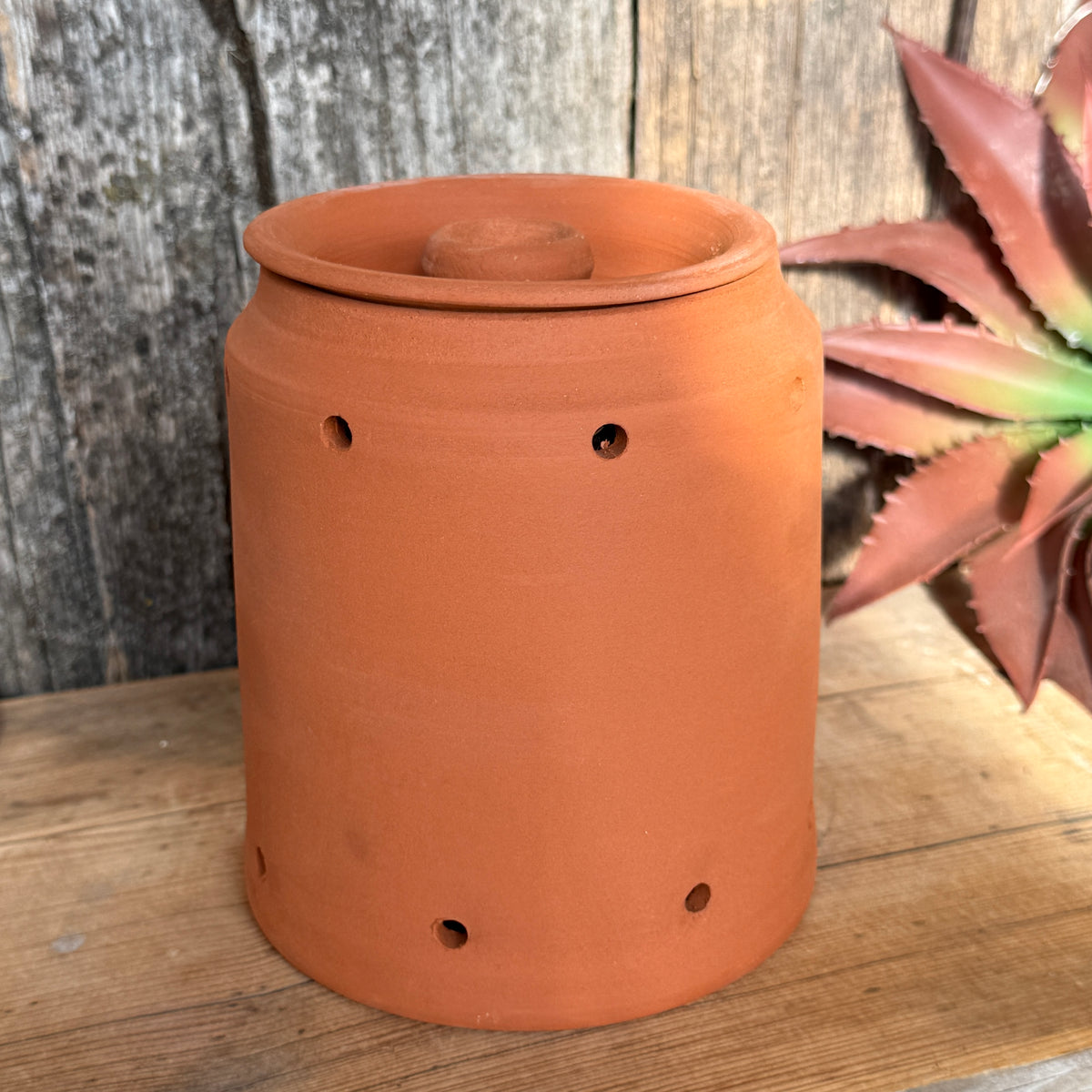 Garlic/ onion keeper Rancher