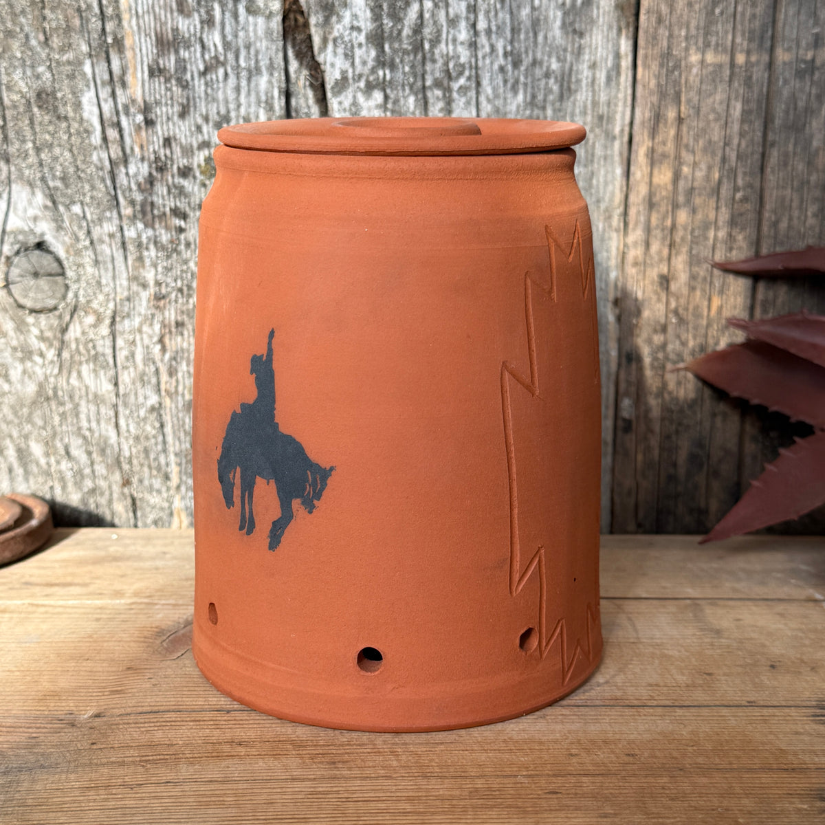 Garlic/ onion keeper Bronc