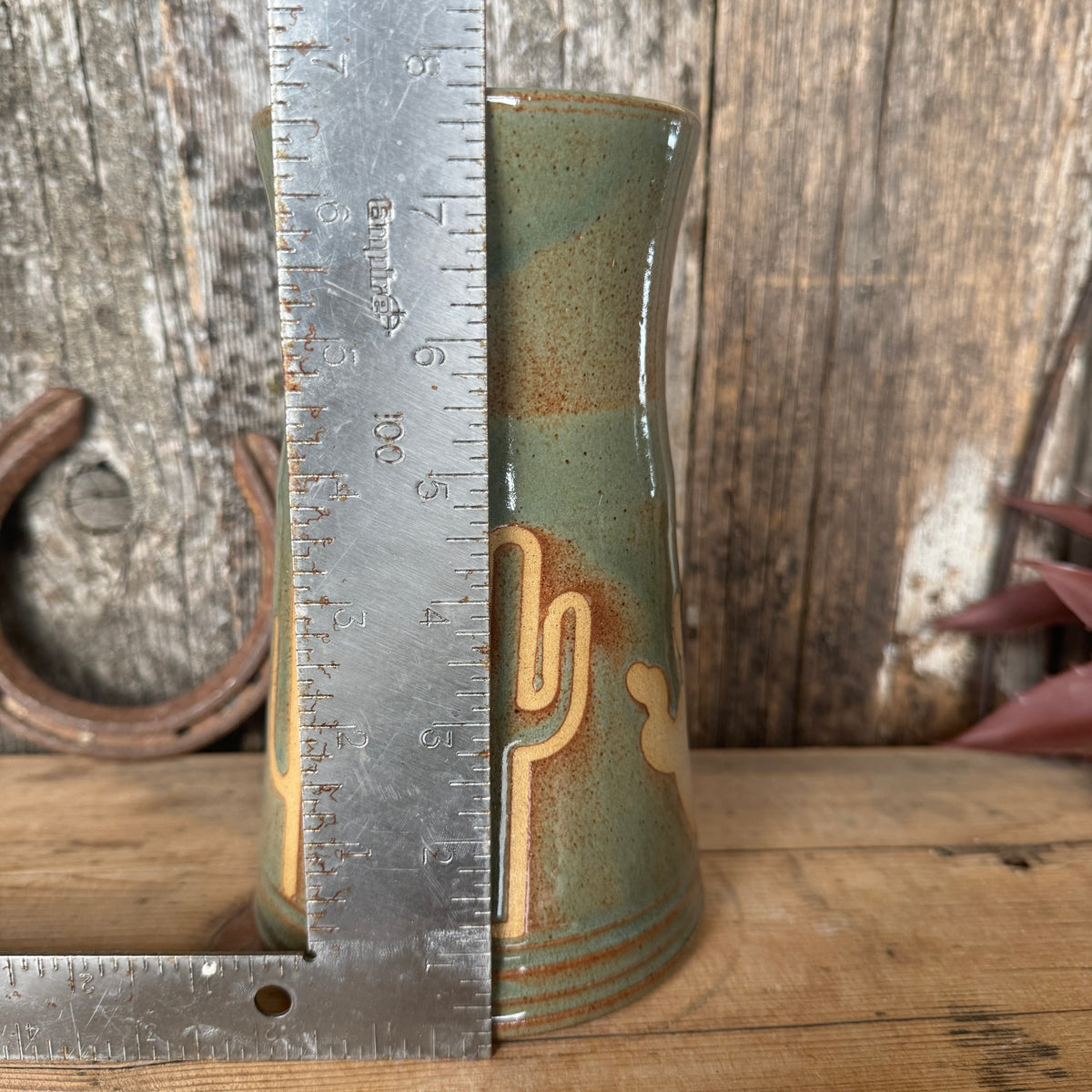 Vase Sagebrush Cactus