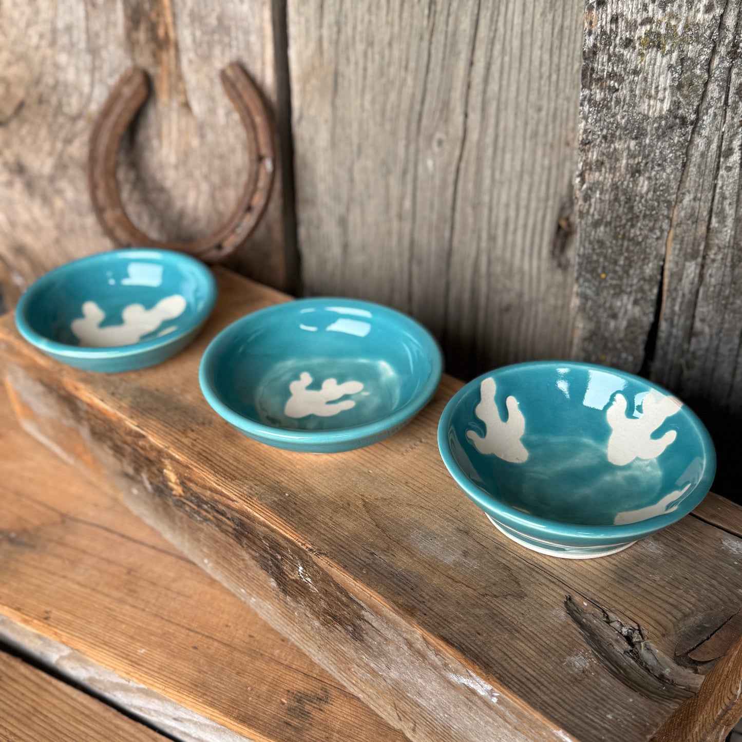 Sauce bowl set of 3 turquoise cactus