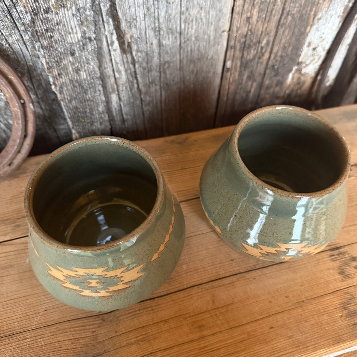 Tumbler Cup Set of 2  - Sagebrush Southwestern