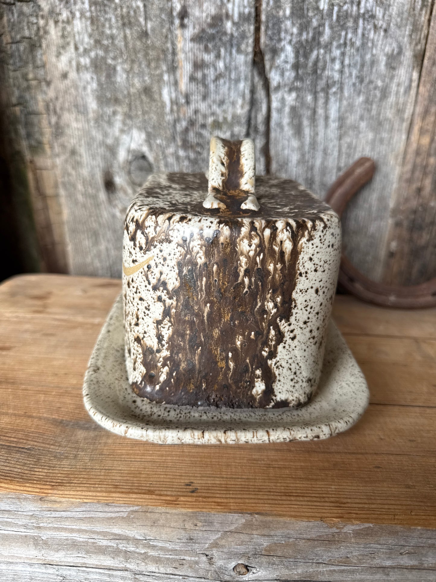 Butter Dish Longhorn Speckle Park