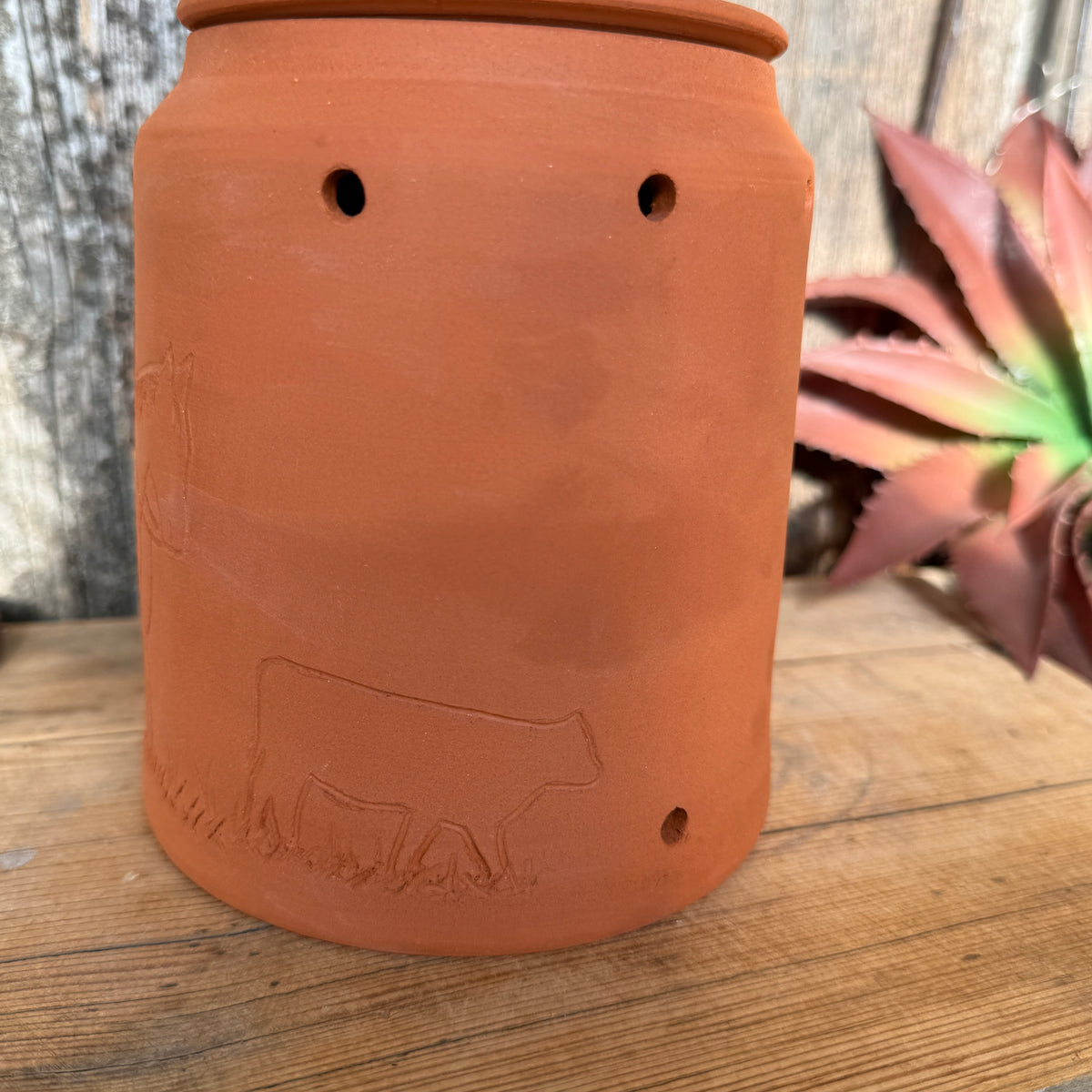 Garlic/ onion keeper Rancher