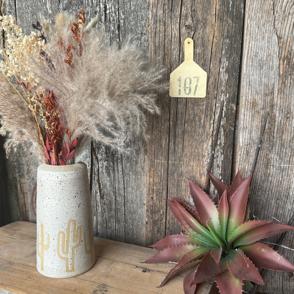 Vase Speckle Park Cactus