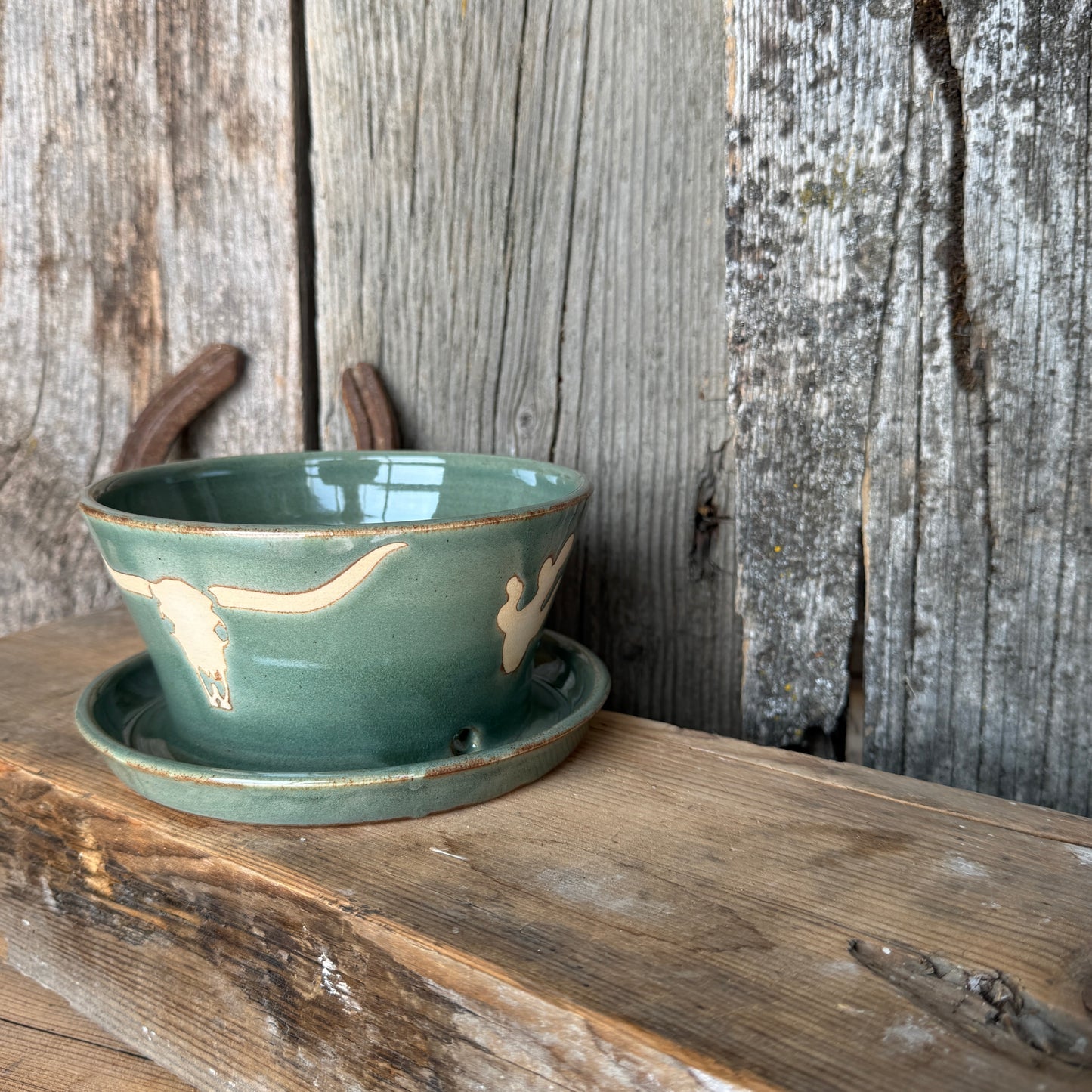 Planter southwestern Sagebrush