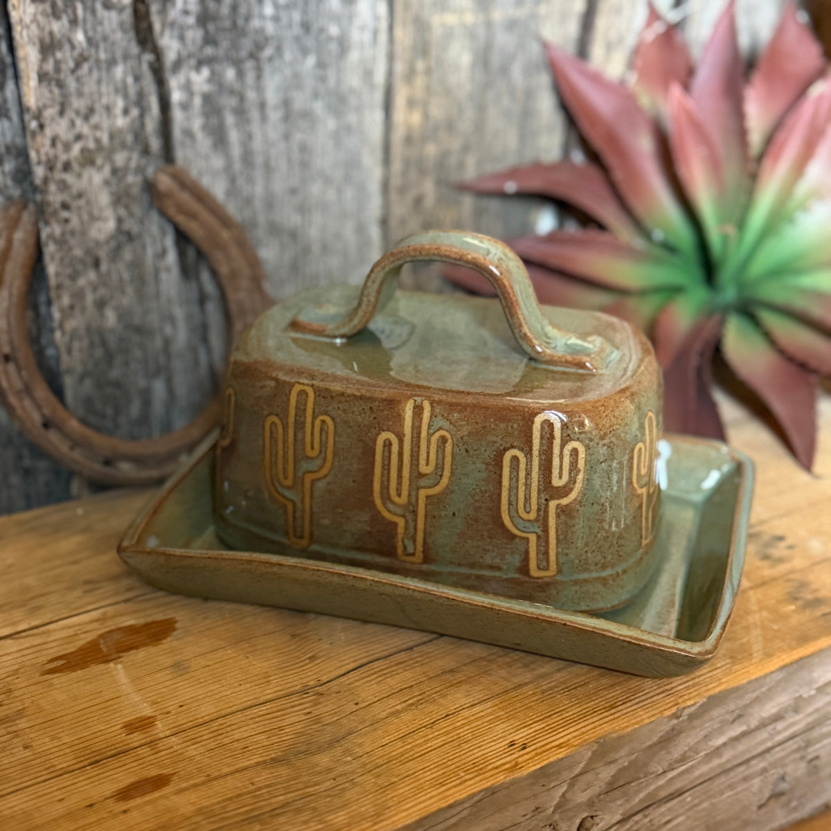 Butter Dish Sagebush Cactus