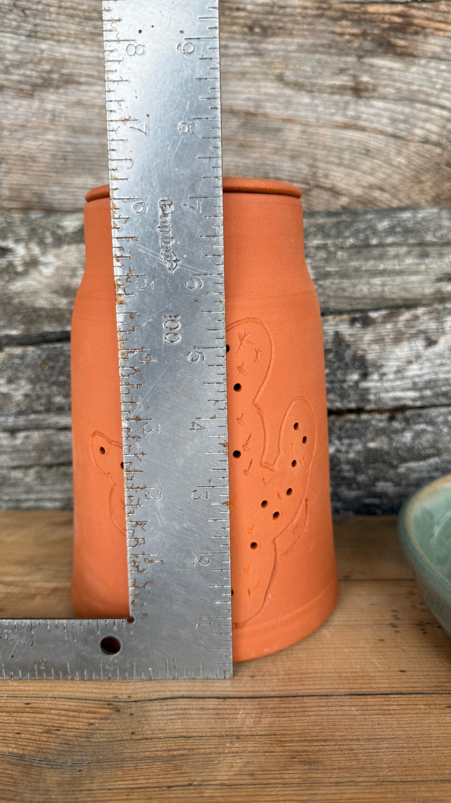 7” Prickly Pear Cactus Garlic Keeper and  Grate Plate