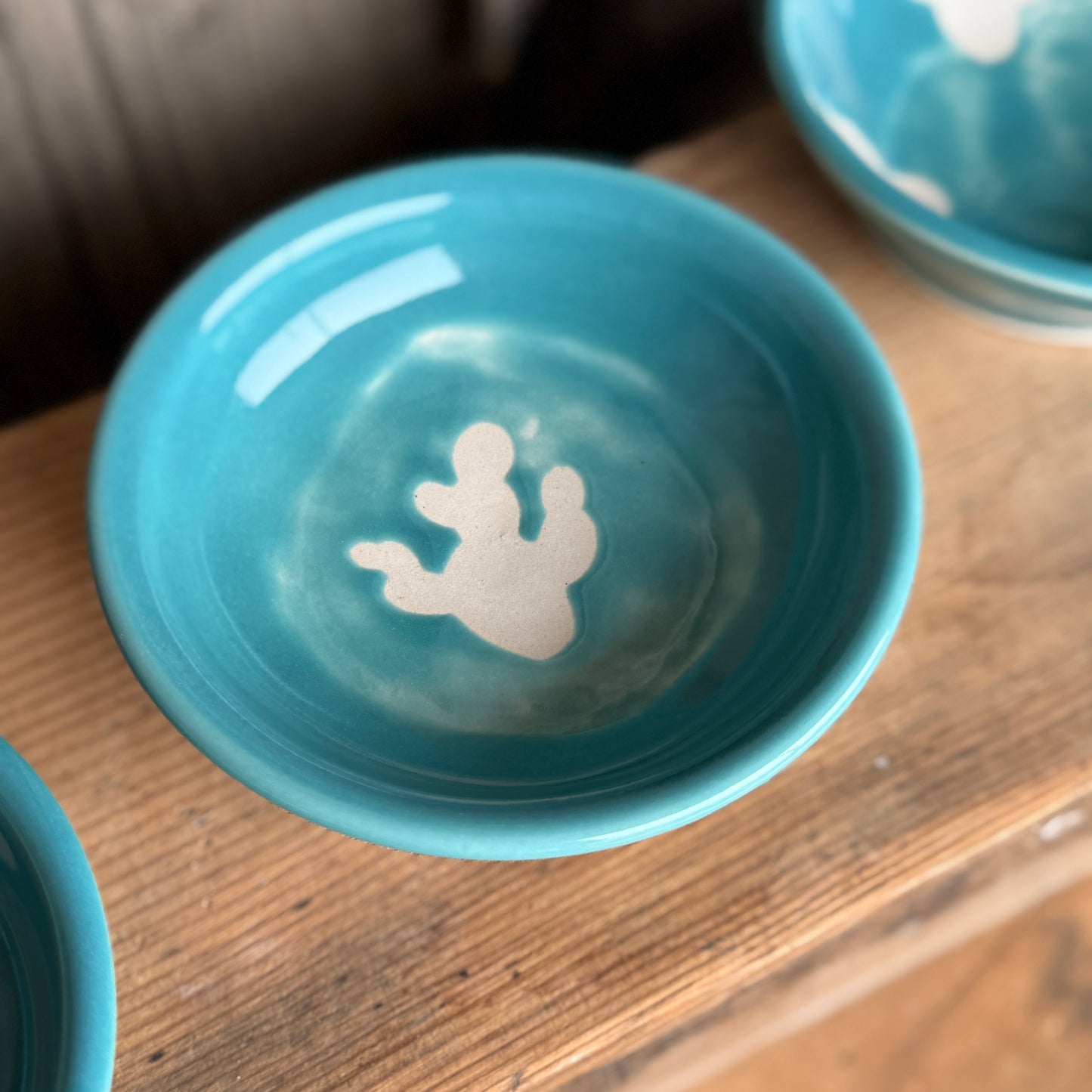 Sauce bowl set of 3 turquoise cactus