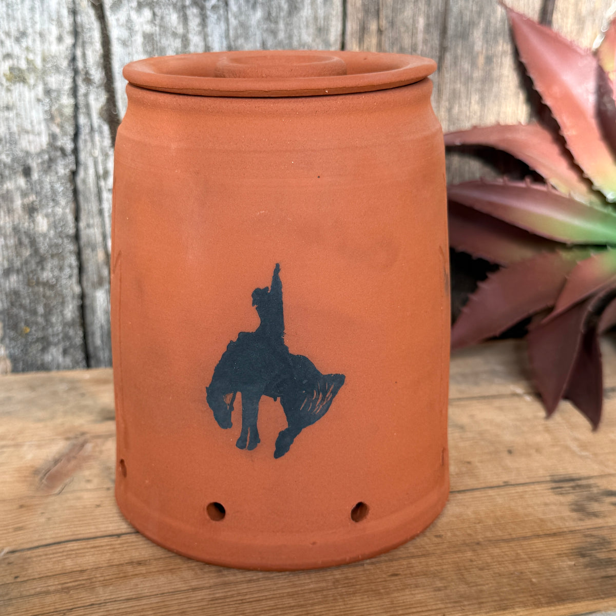 Garlic/ onion keeper Bronc