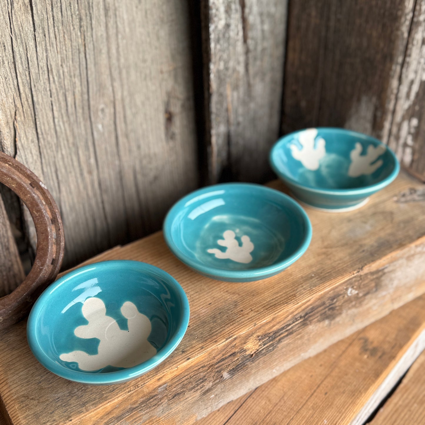 Sauce bowl set of 3 turquoise cactus