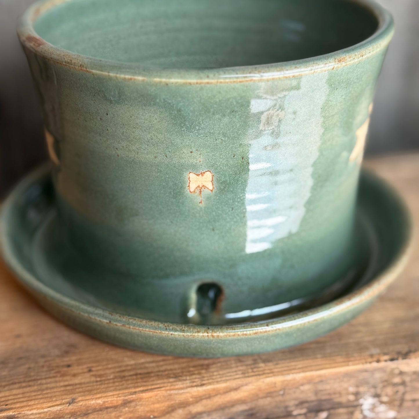 Planter southwestern Sagebrush