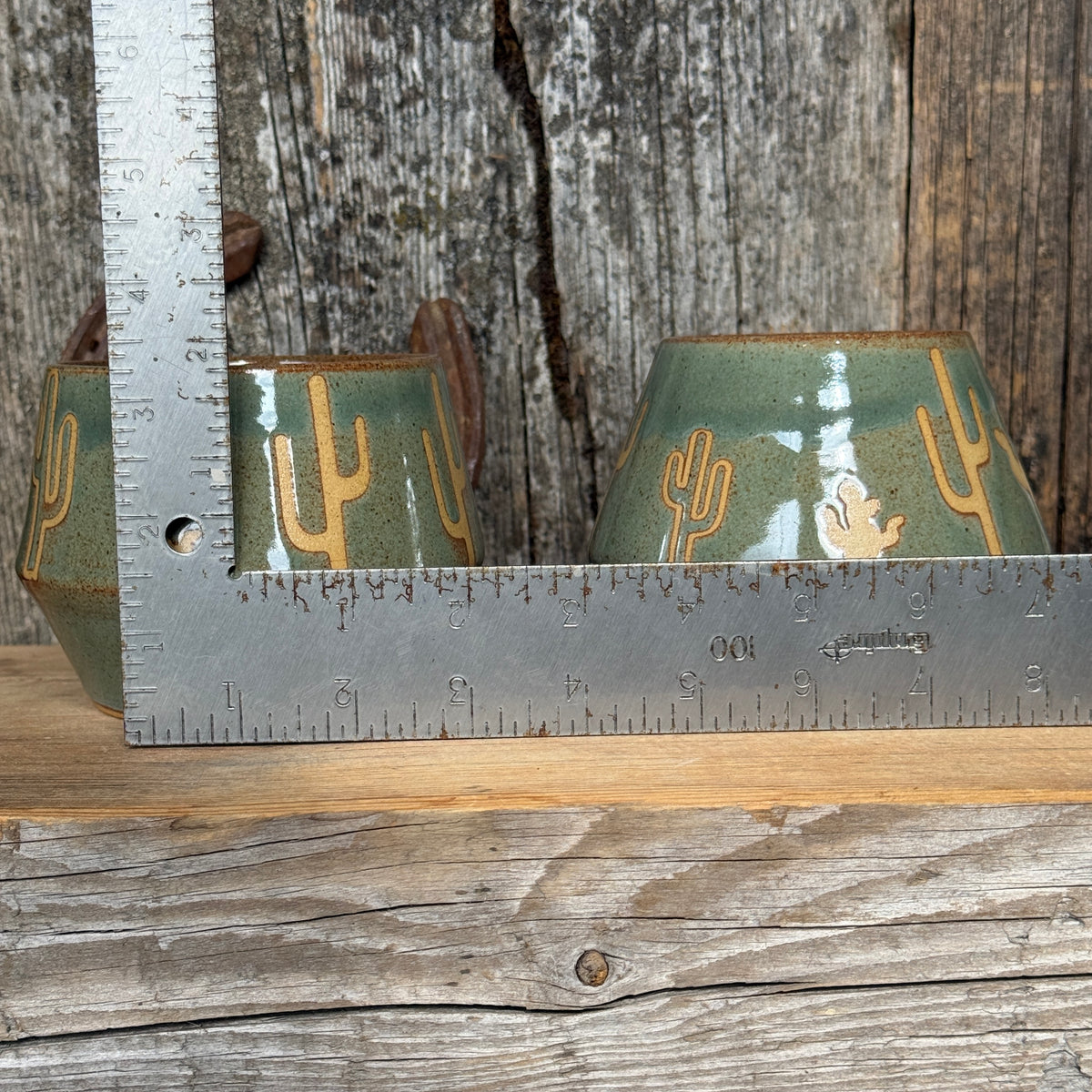 Tumbler Cup Set of 2 - Cactus Sagebrush