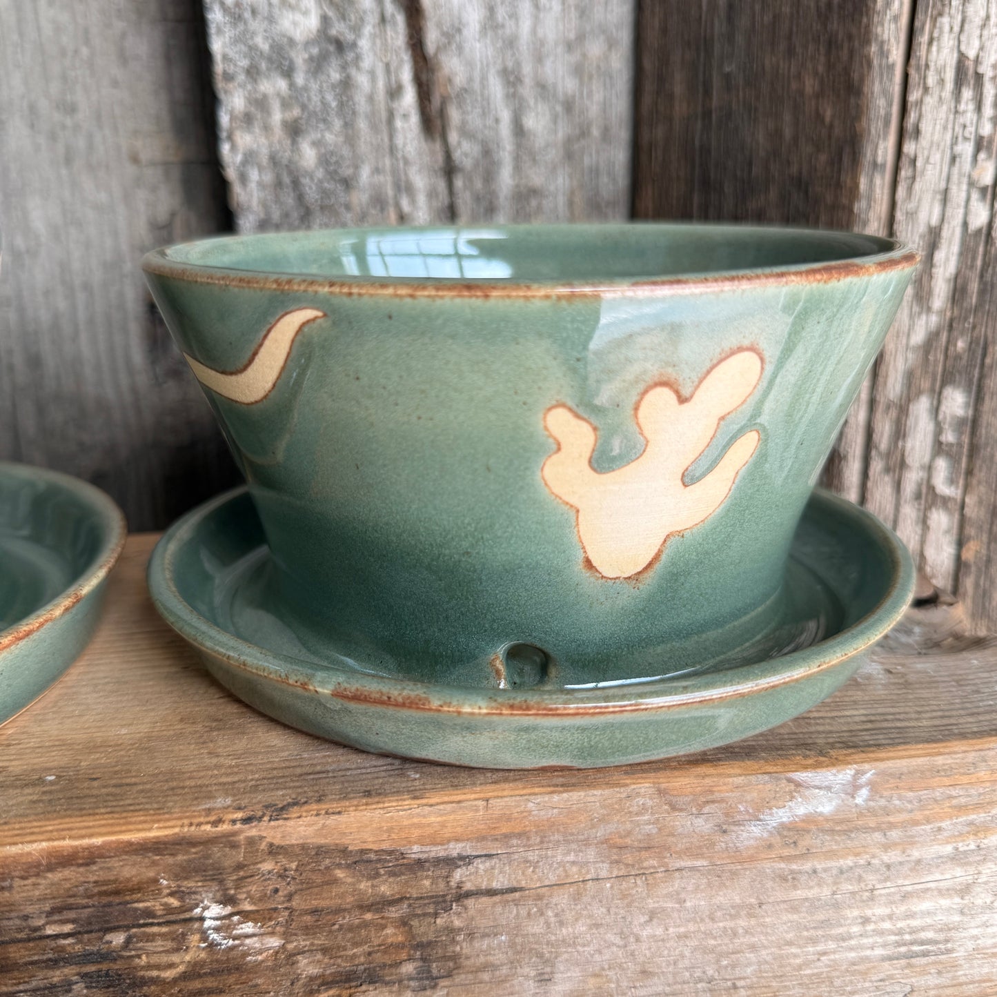Planter southwestern Sagebrush