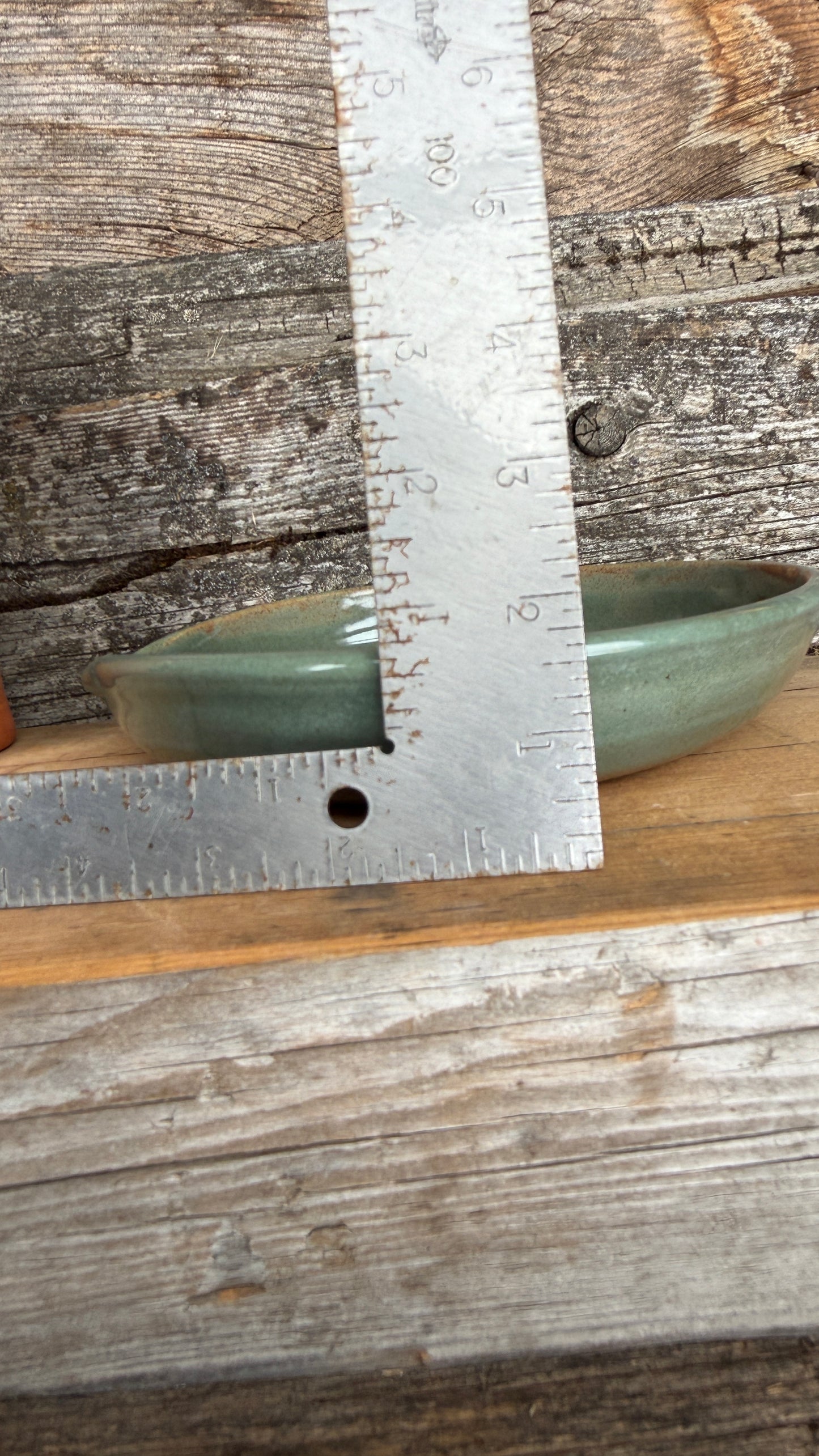 7” Prickly Pear Cactus Garlic Keeper and  Grate Plate