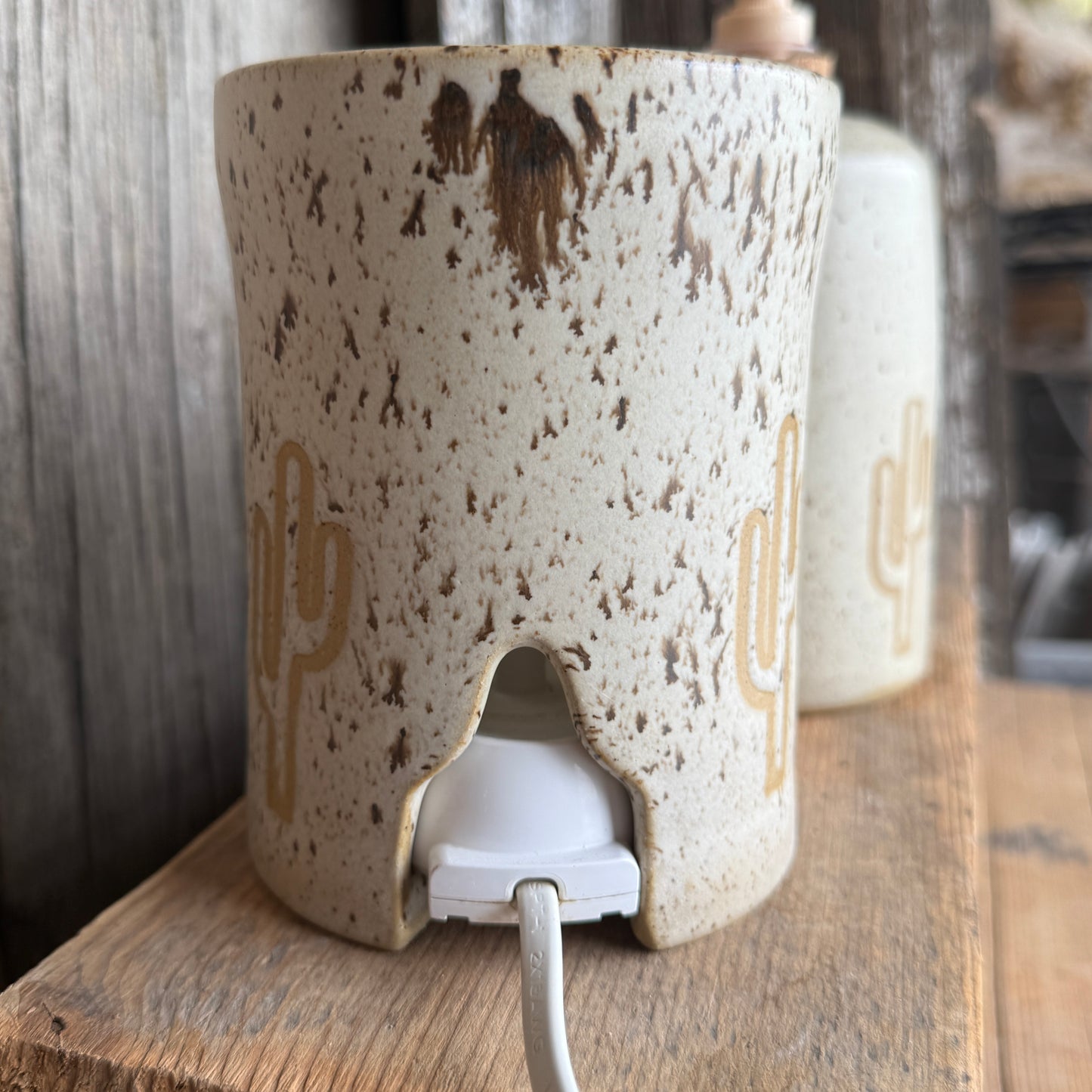Bathroom Set of 3 - Soap Bottle, canister, and electic toothbrush holder - Cactus Speckle Park