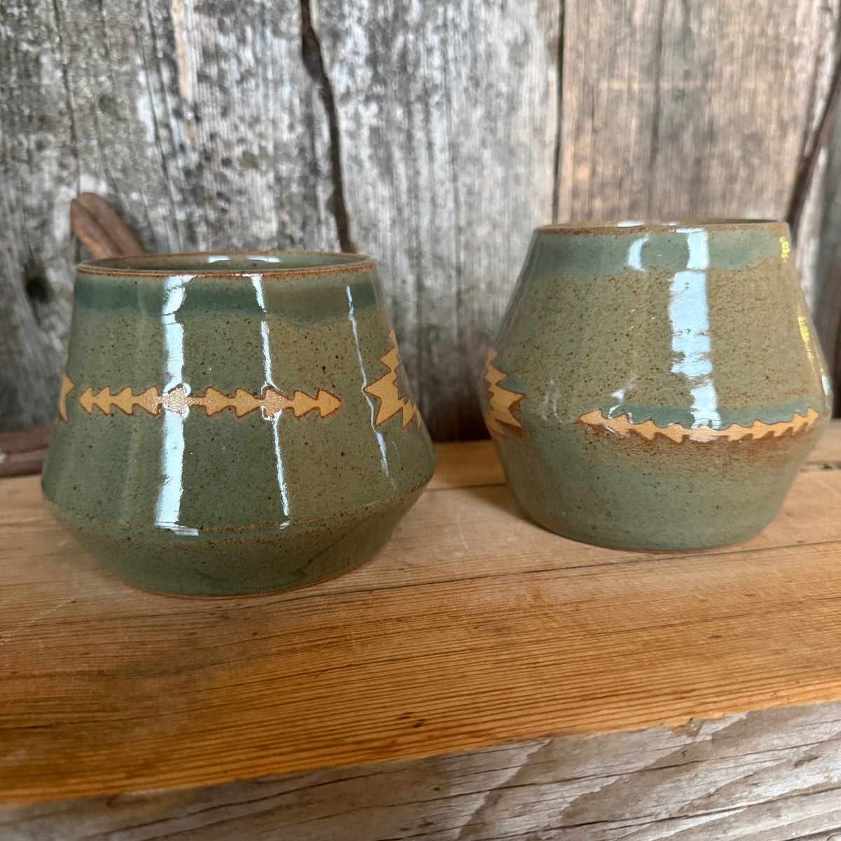 Tumbler Cup Set of 2  - Sagebrush Southwestern