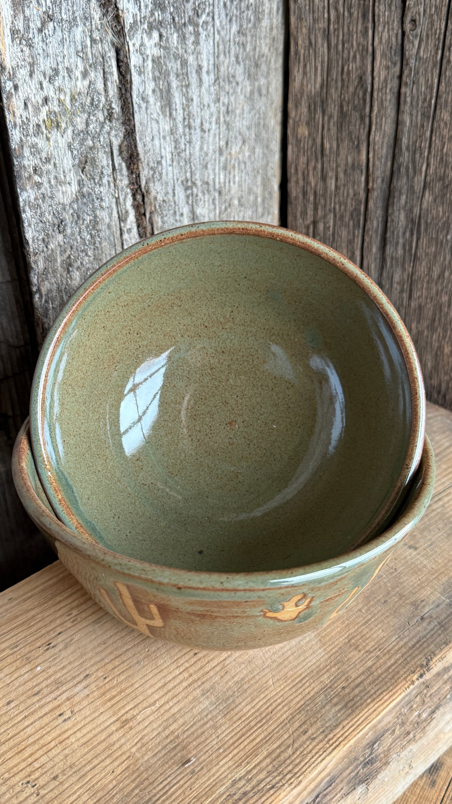Small bowl set of 2 Cactus
