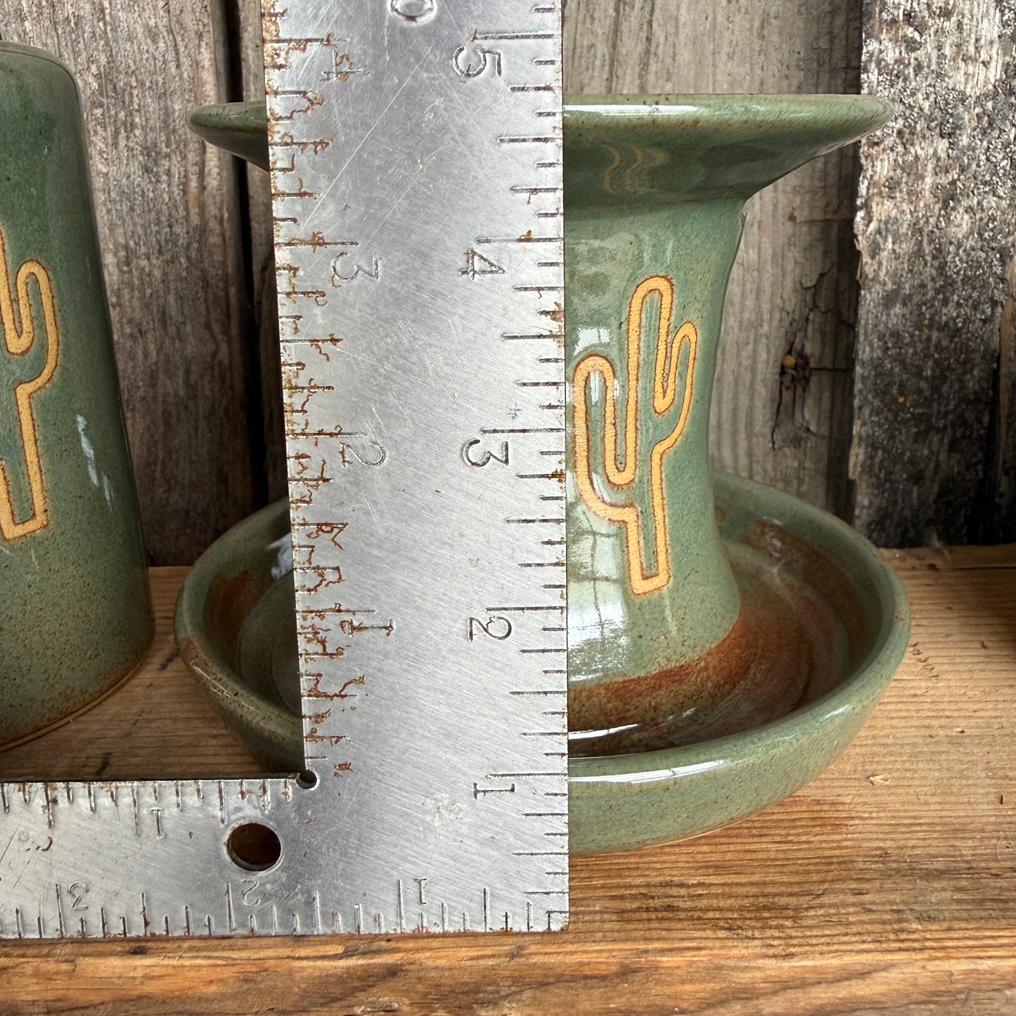 Bathroom Set of 3 - Soap Bottle, canister, and toothbrush holder - Sagebrush Cactus