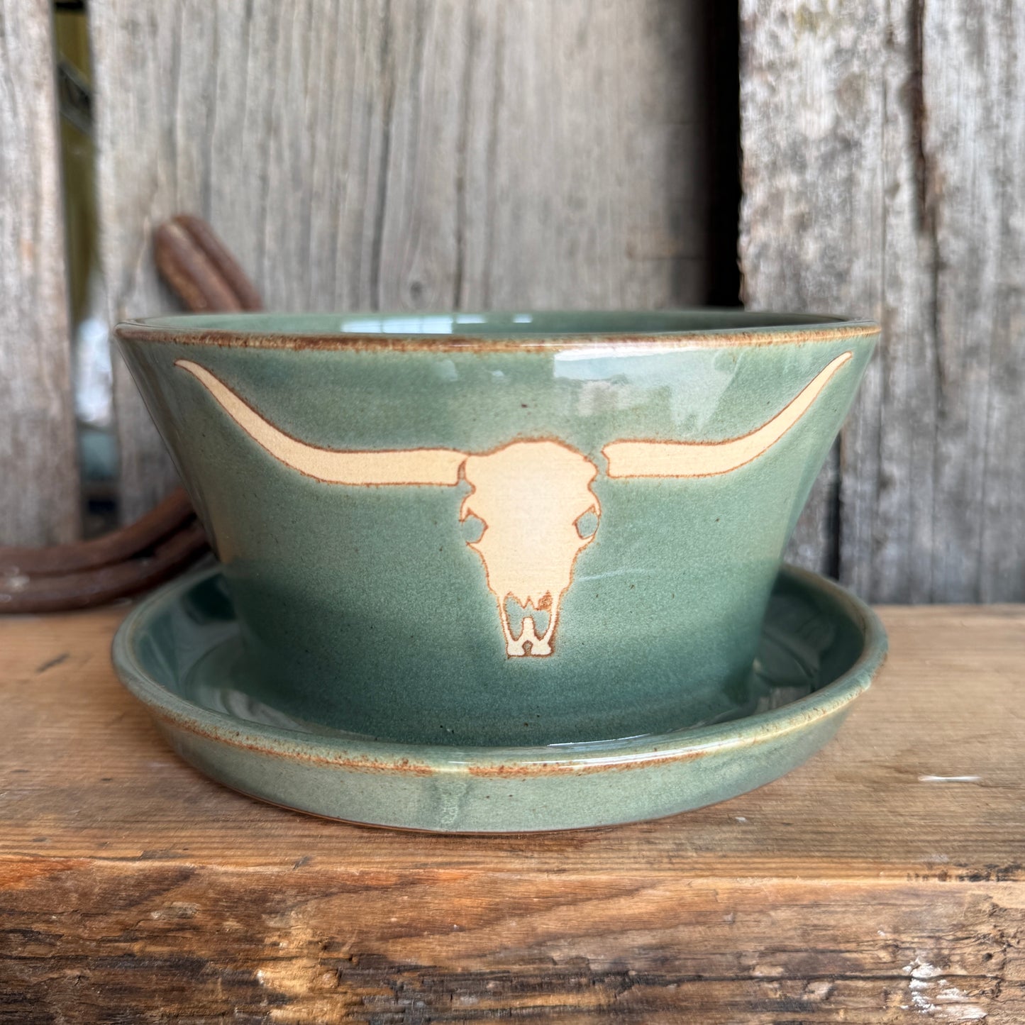 Planter southwestern Sagebrush