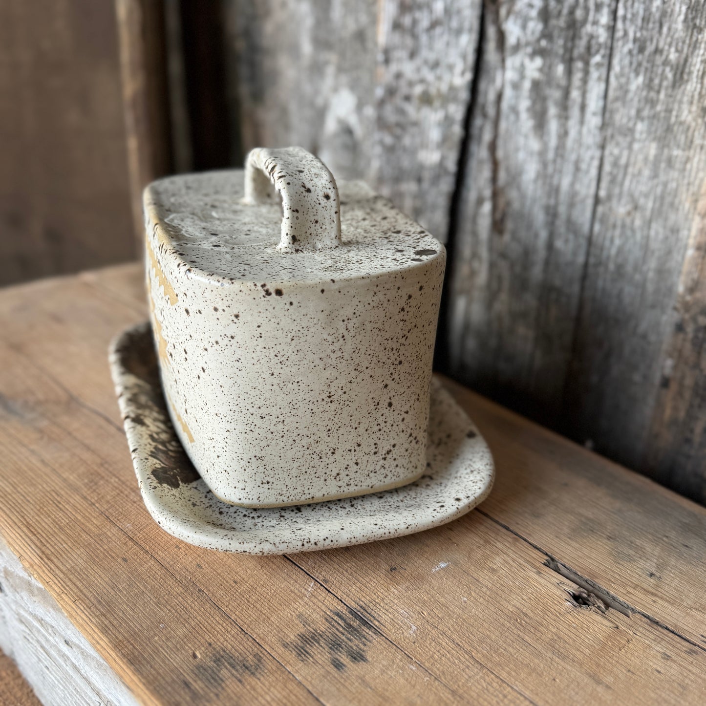 Butter Dish Speckle Park Southwestern
