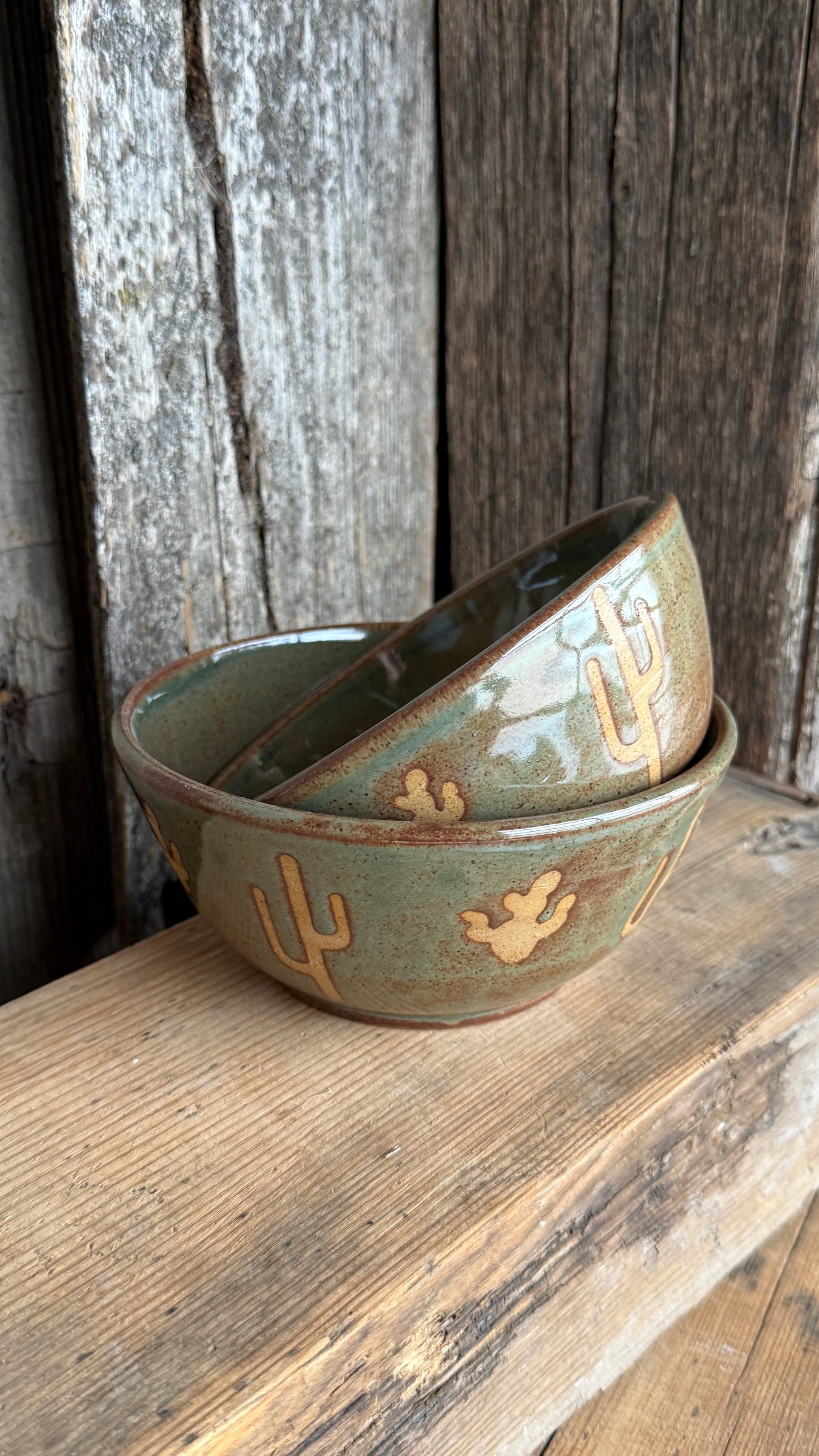 Small bowl set of 2 Cactus