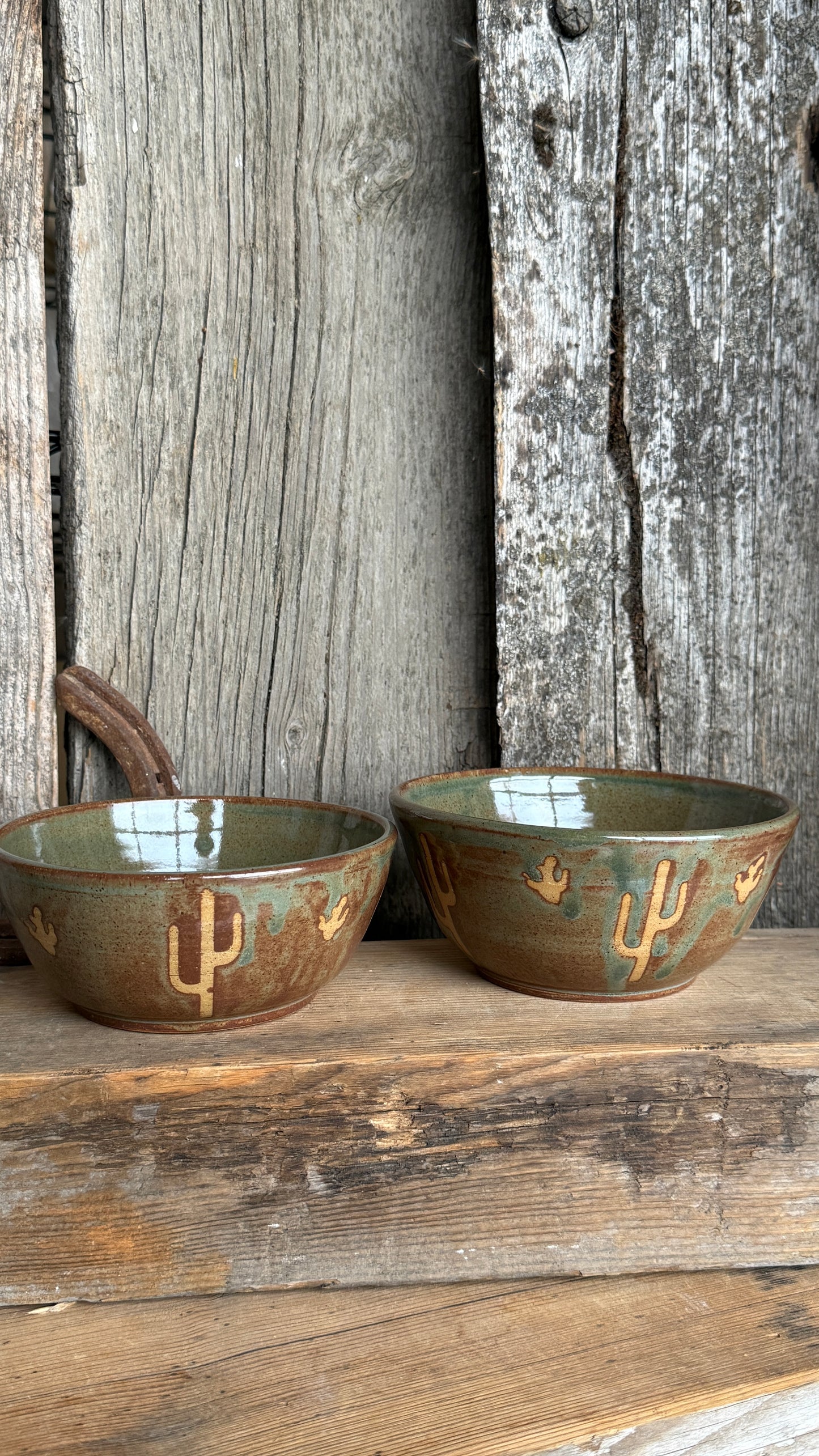 Small bowl set of 2 Cactus