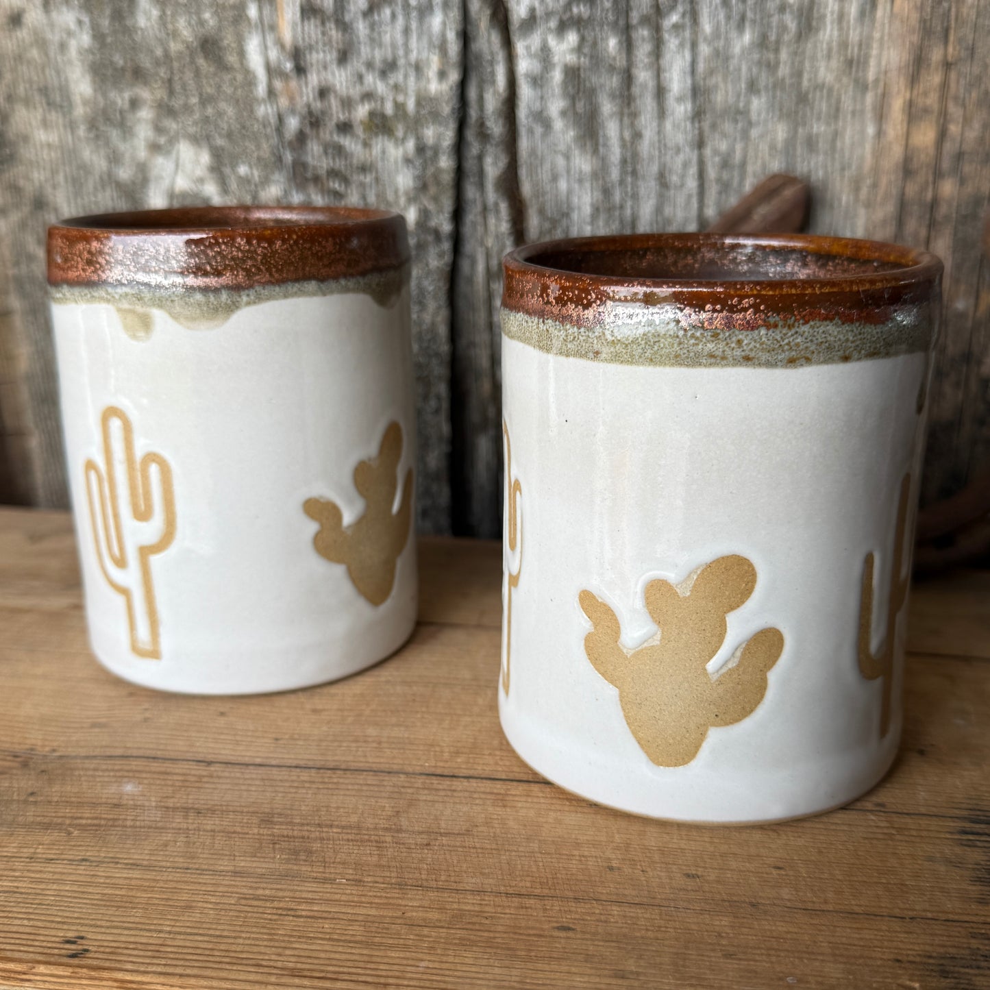 Cup Set of 2 - Cactus copper and White