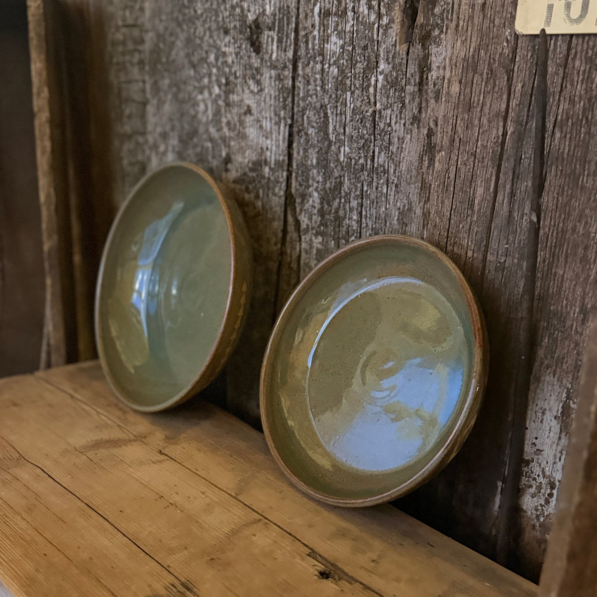 Girl Dinner Bowl/Plate Set of 2- sagebrush southwestern