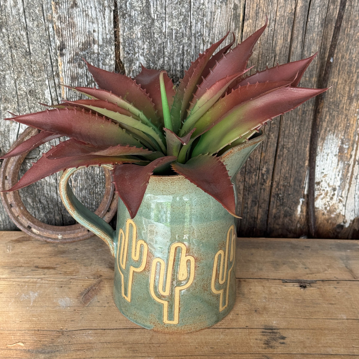 Pitcher Sagebrush Cactus