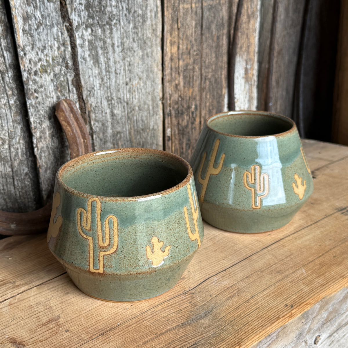 Tumbler Cup Set of 2 - Cactus Sagebrush