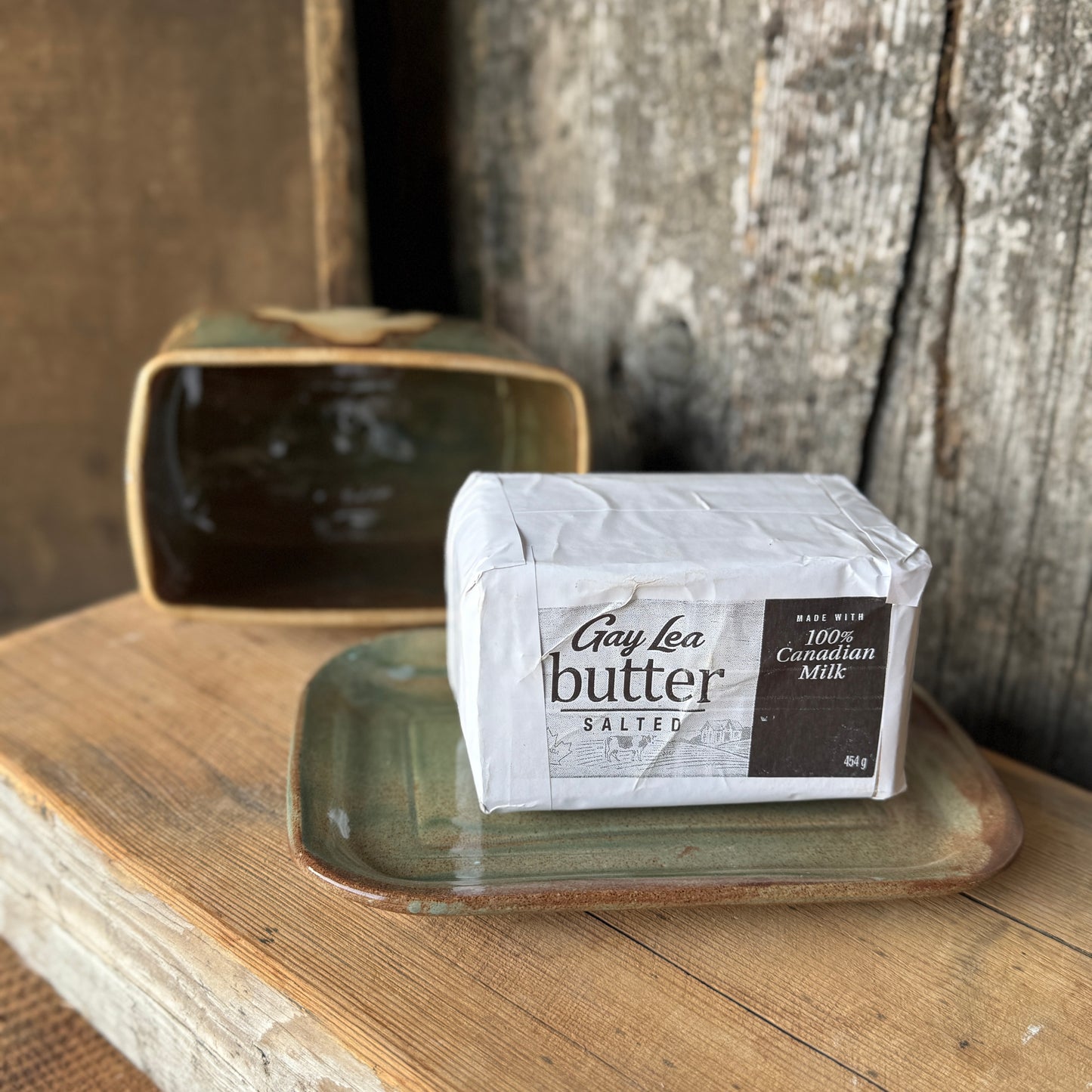 Butter Dish Sagebrush Cactus