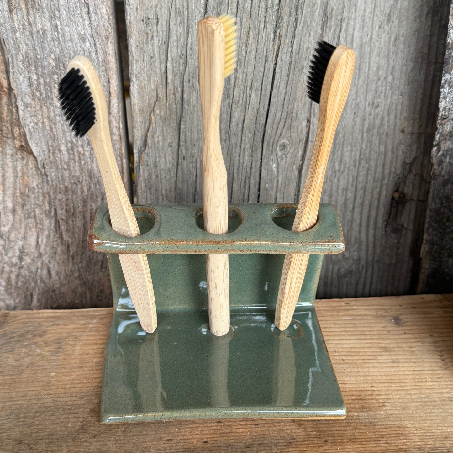 Bathroom Set of 2 - Soap Bottle, toothbrush holder - Cactus Sagebrush