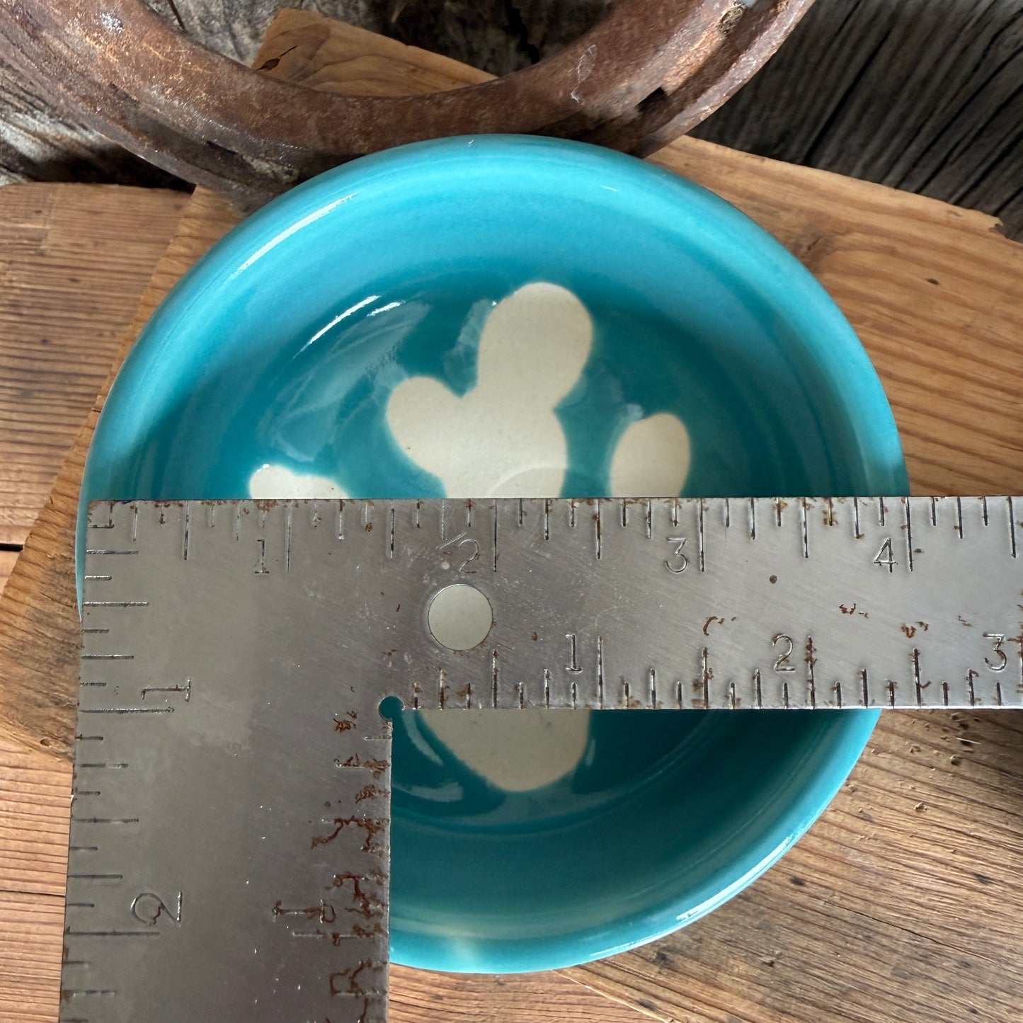 Sauce bowl set of 3 turquoise cactus