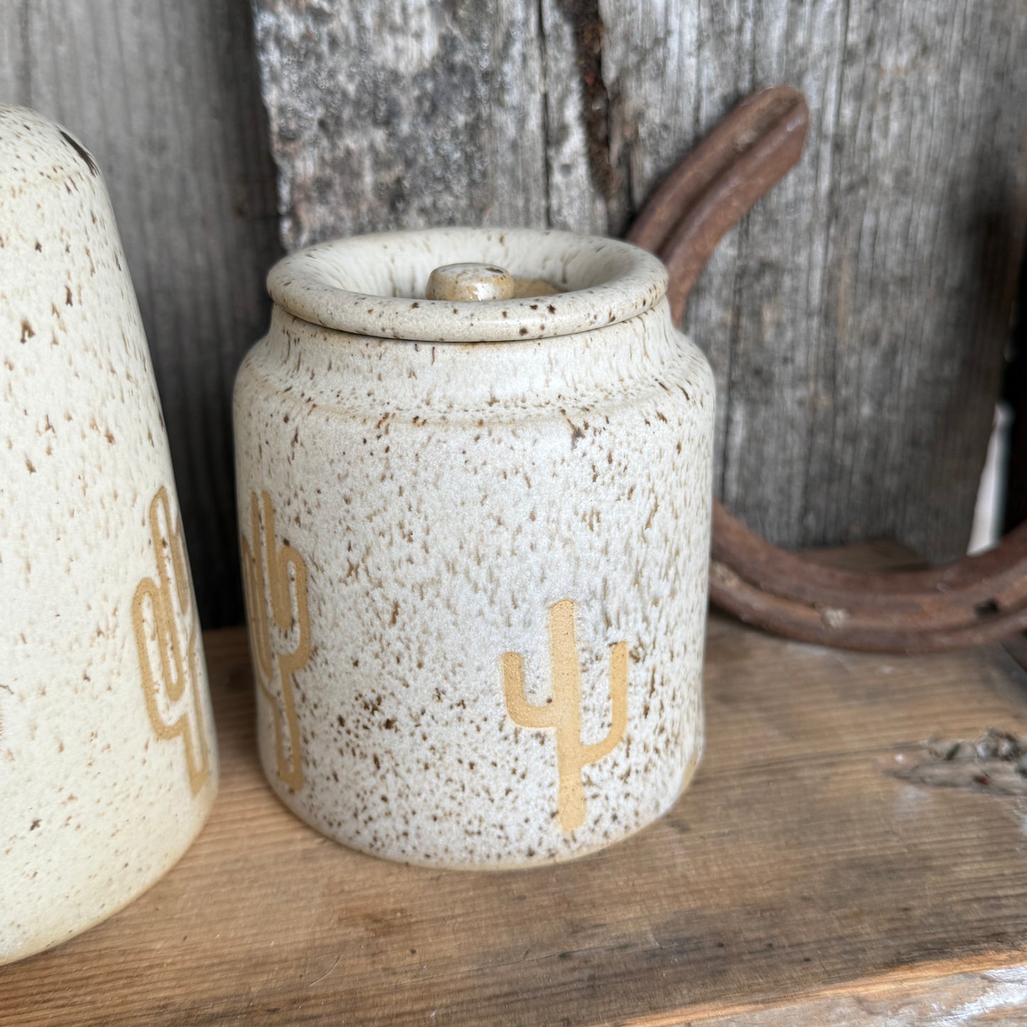 Bathroom Set of 3 - Soap Bottle, canister, and electic toothbrush holder - Cactus Speckle Park
