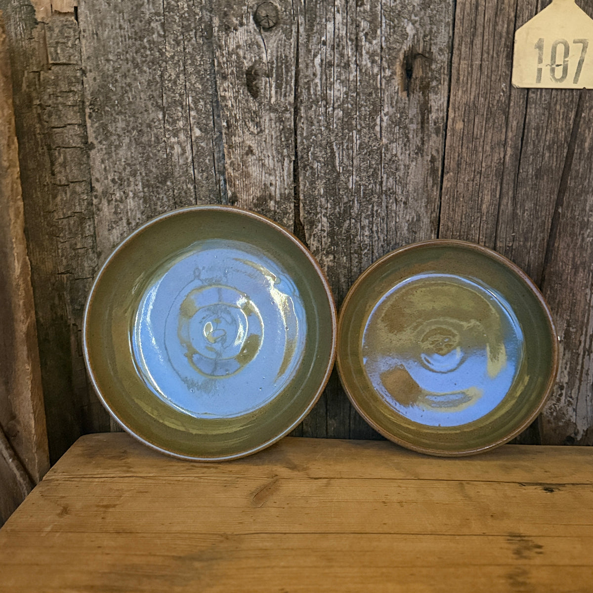 Girl Dinner Bowl/Plate Set of 2- sagebrush southwestern